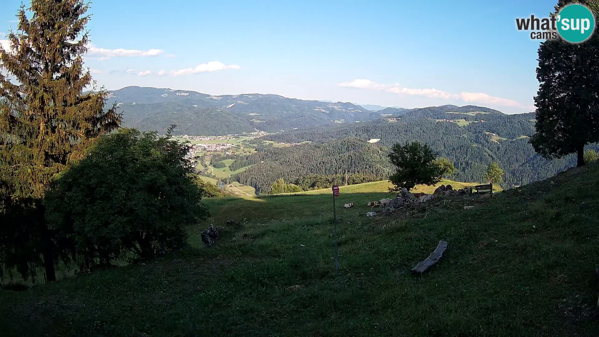 Slajka camera en vivo | Gorenja Vas | Eslovenia