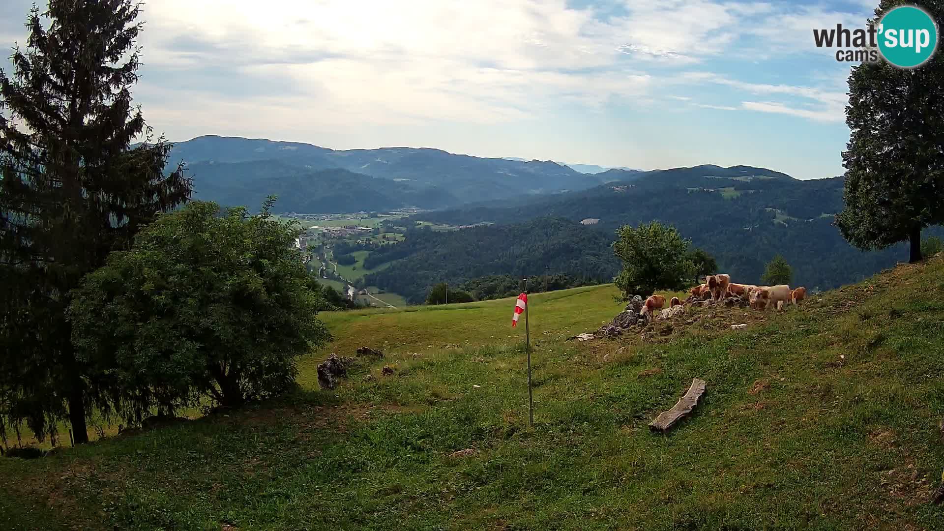 Slajka livecam | Gorenja Vas | Slovénie