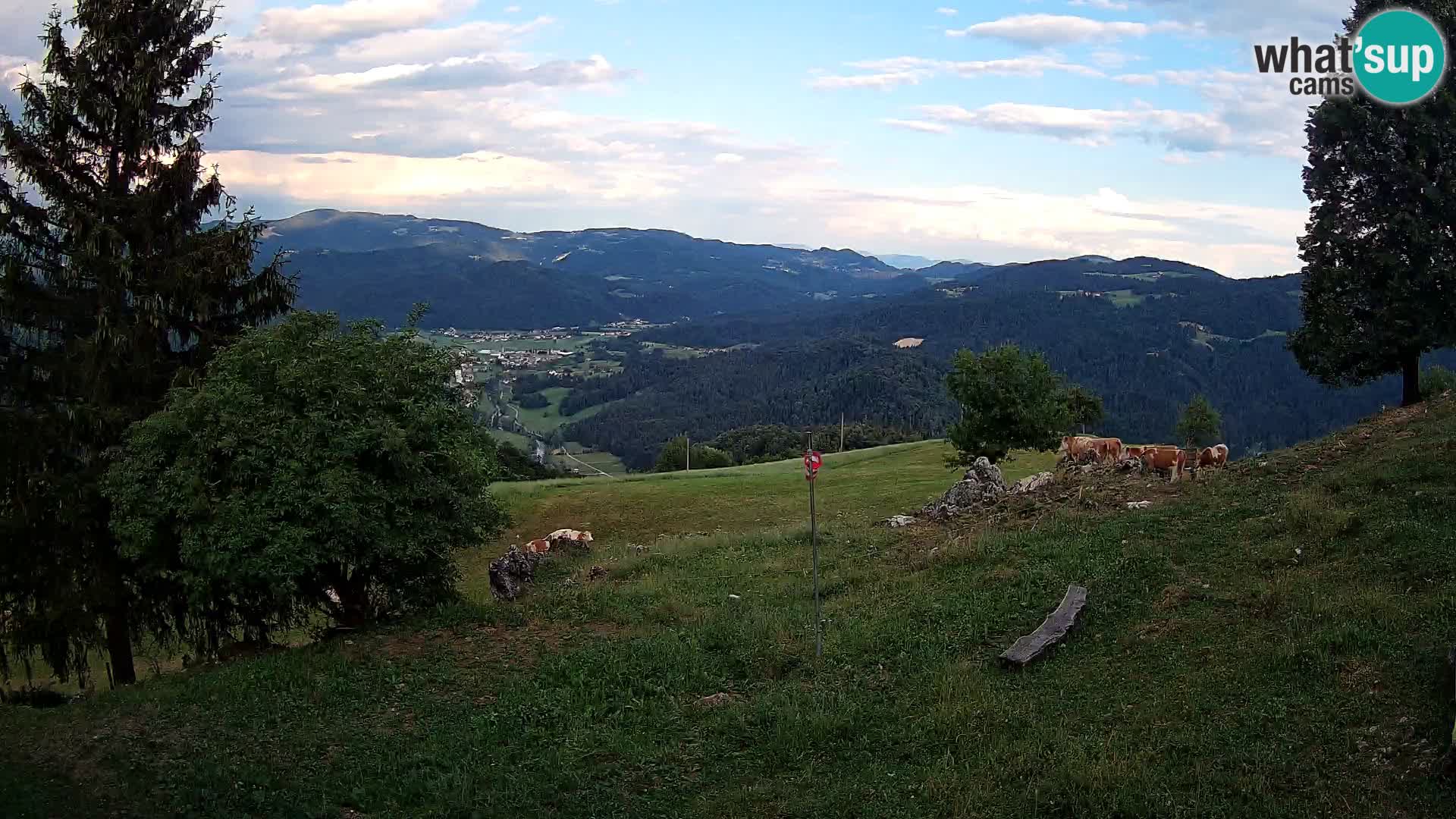 Slajka webcam | Gorenja Vas | Slowenien