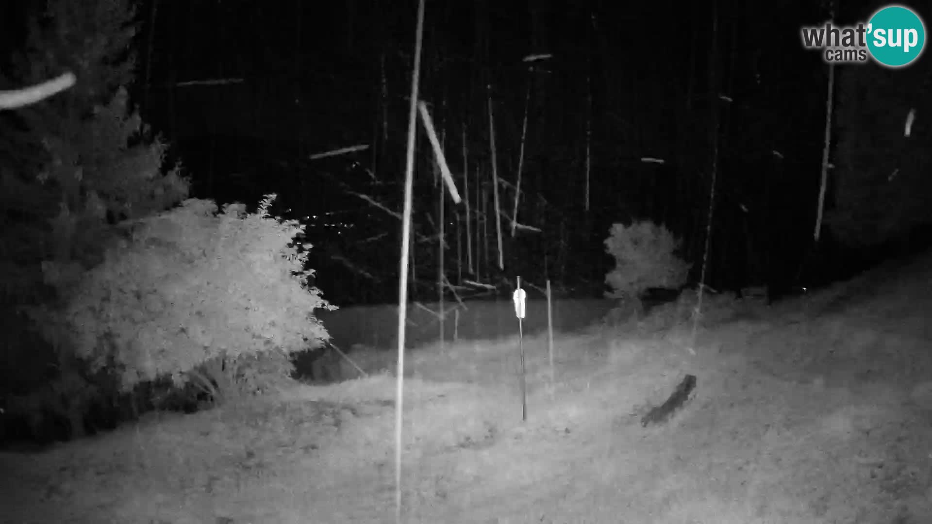 Slajka livecam | Gorenja Vas | Slovénie