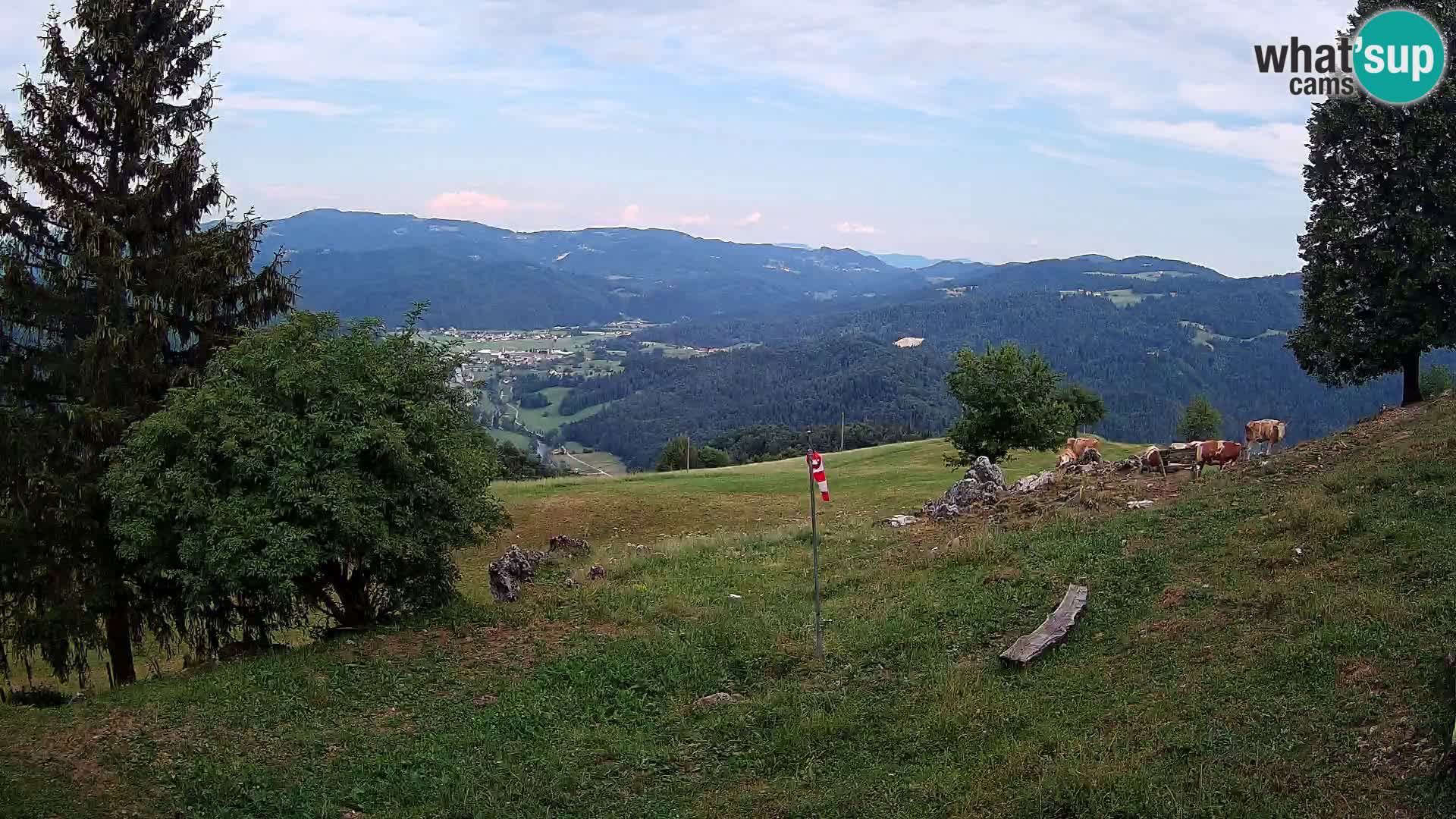 Slajka livecam | Gorenja Vas | Slovénie