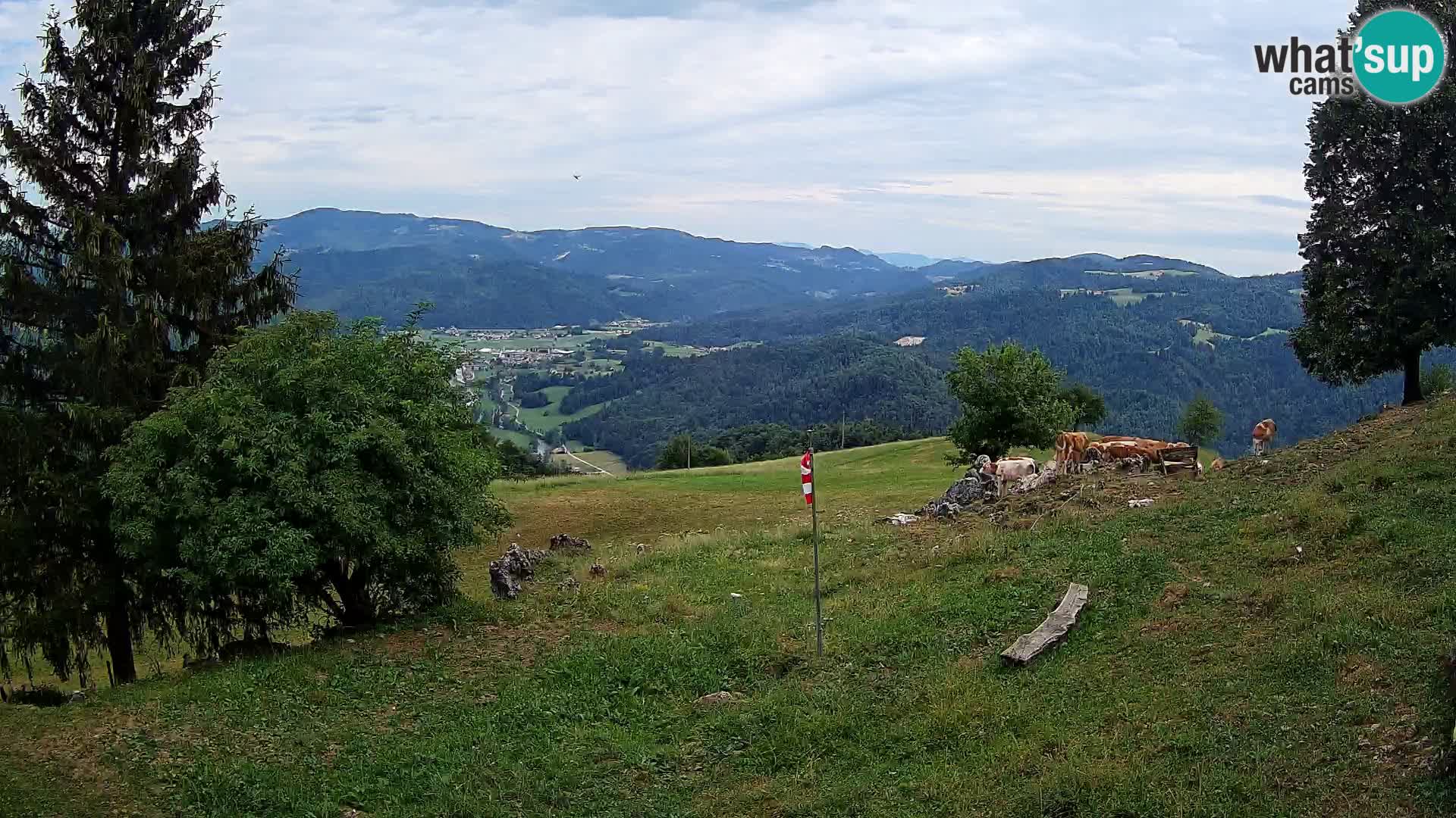 Slajka livecam | Gorenja Vas | Slovénie