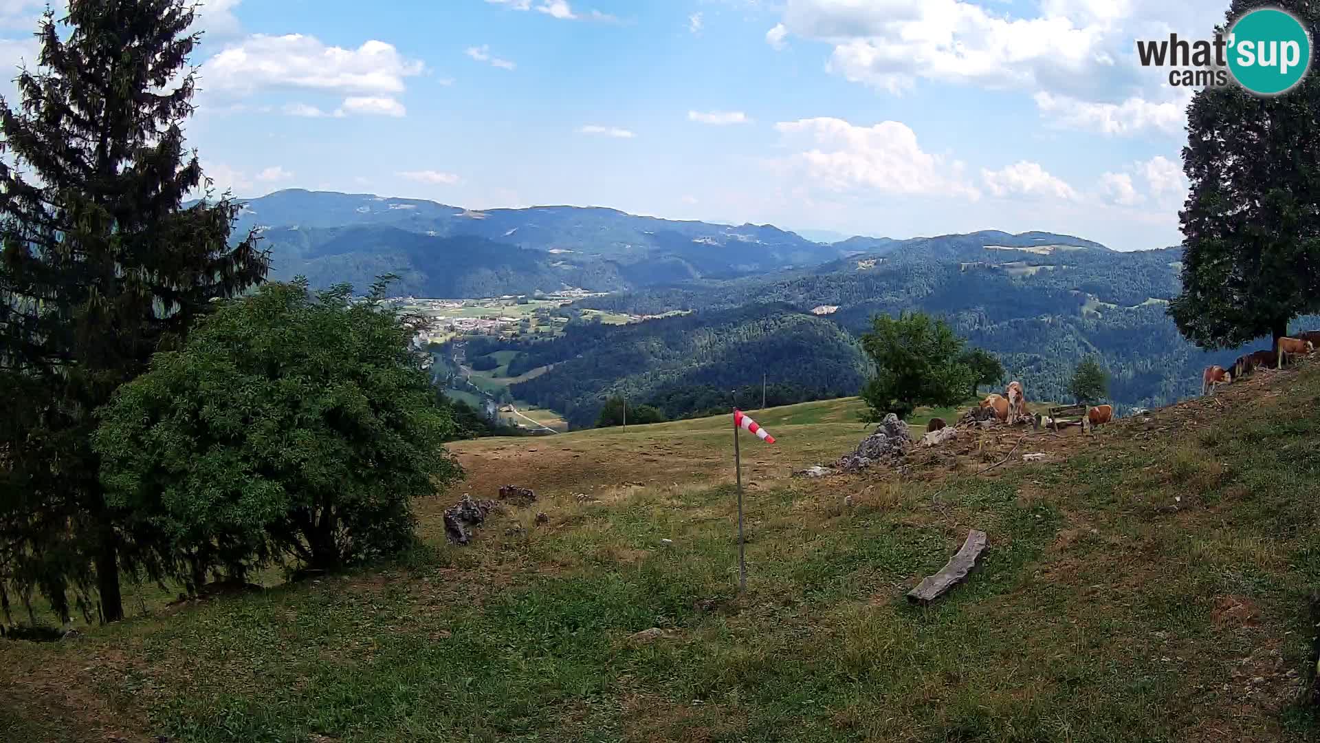 Slajka camera en vivo | Gorenja Vas | Eslovenia