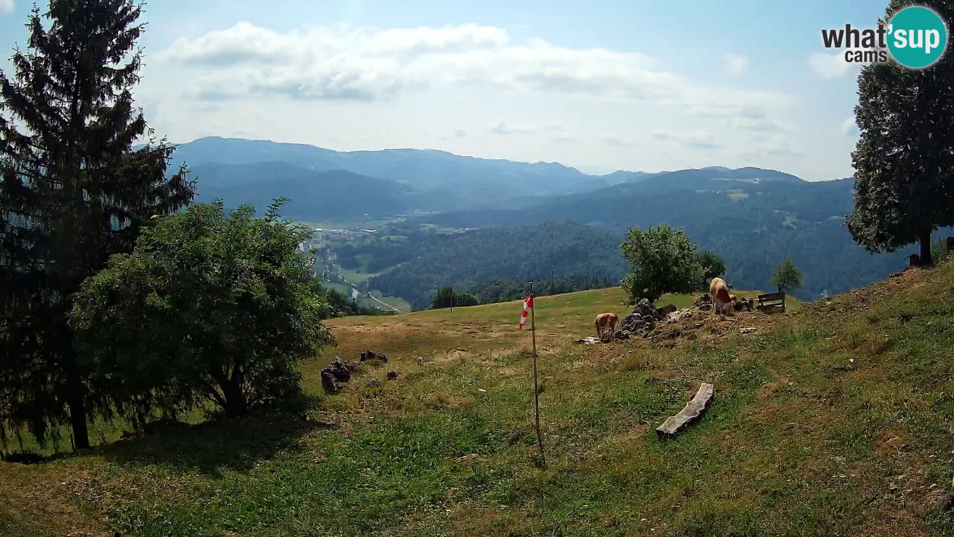 Slajka web kamera | Gorenja Vas | Slovenija