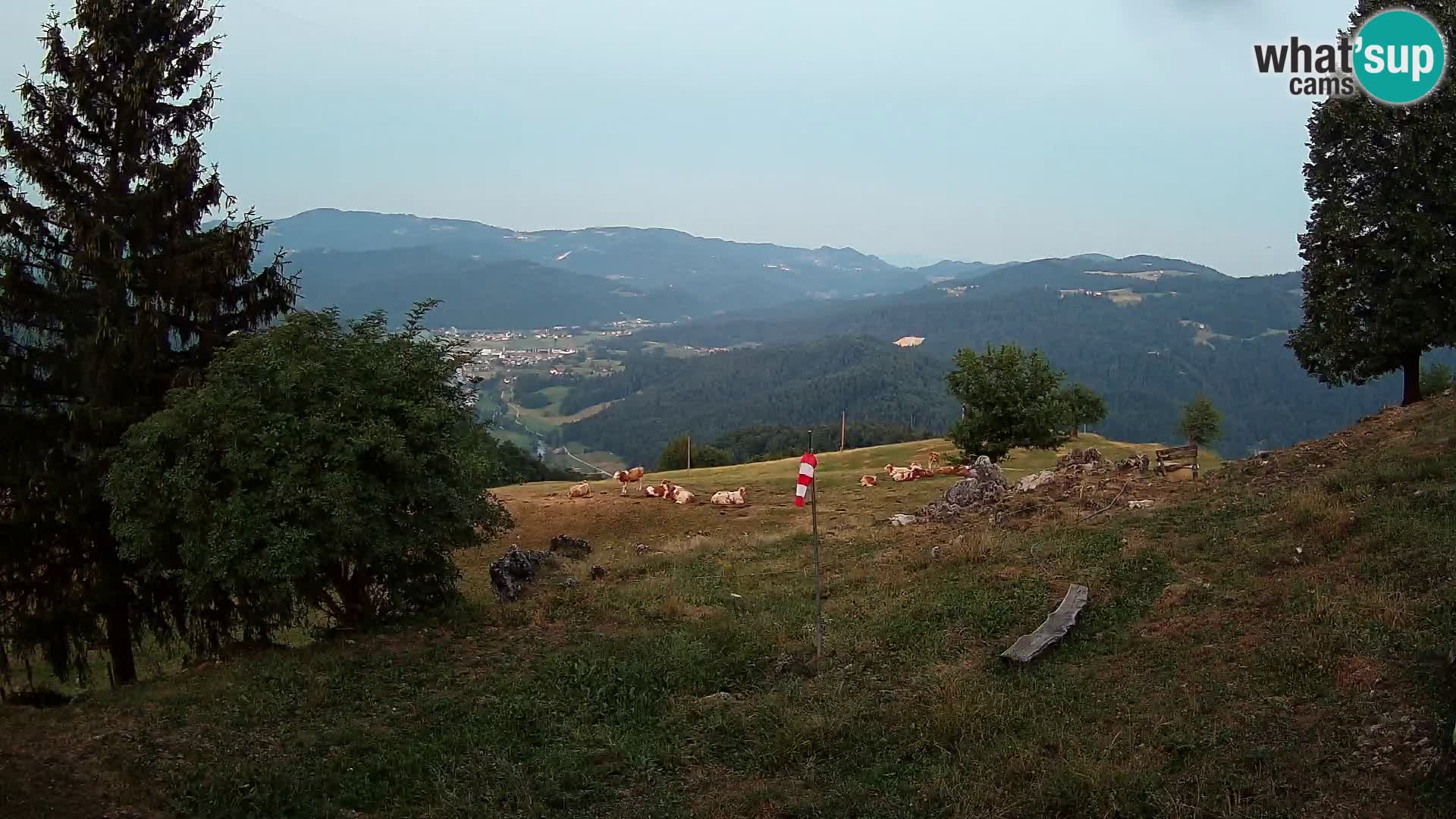 Slajka webam | Gorenja vas | Slovenia