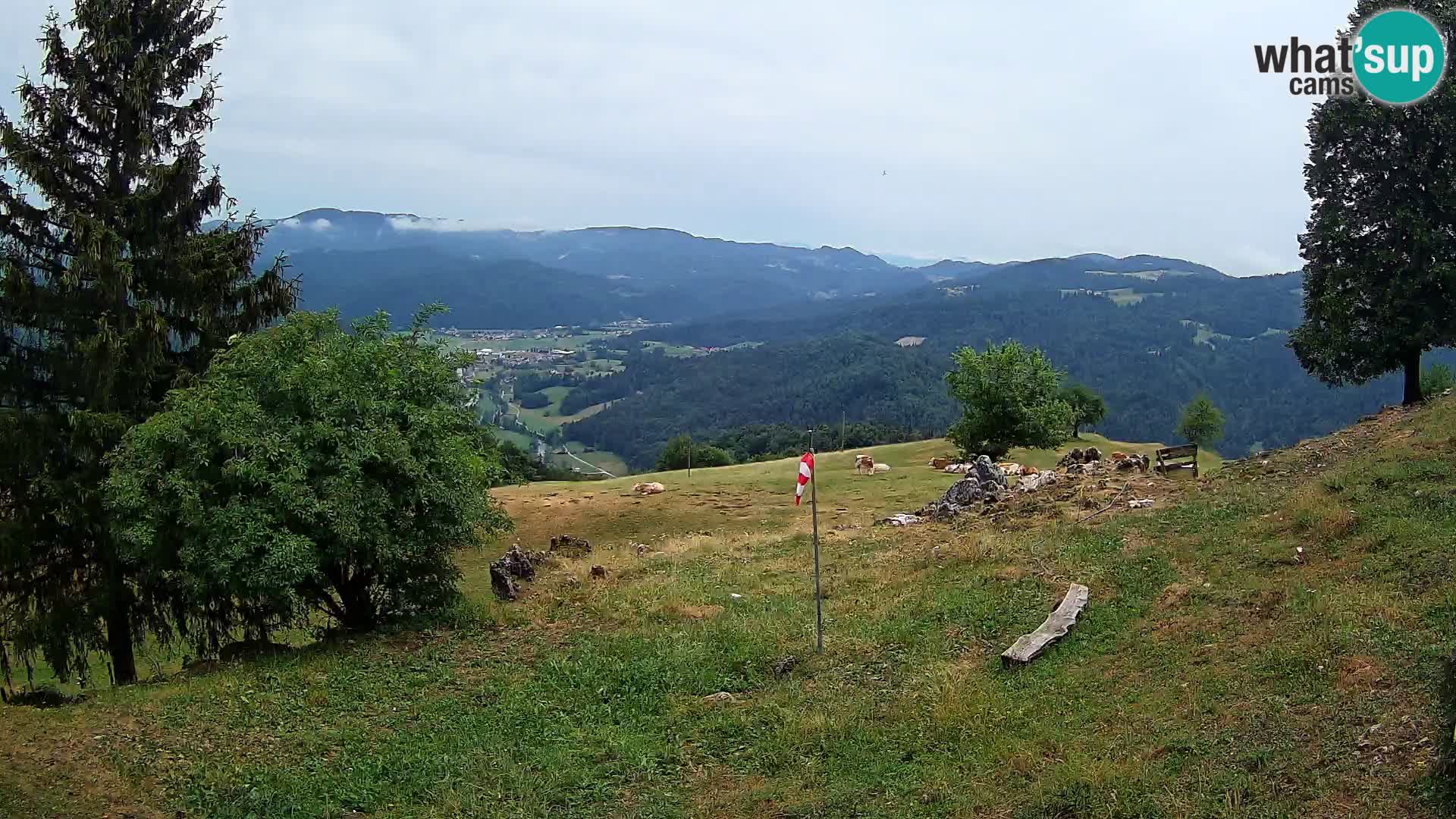 Slajka webam | Gorenja vas | Slovenia