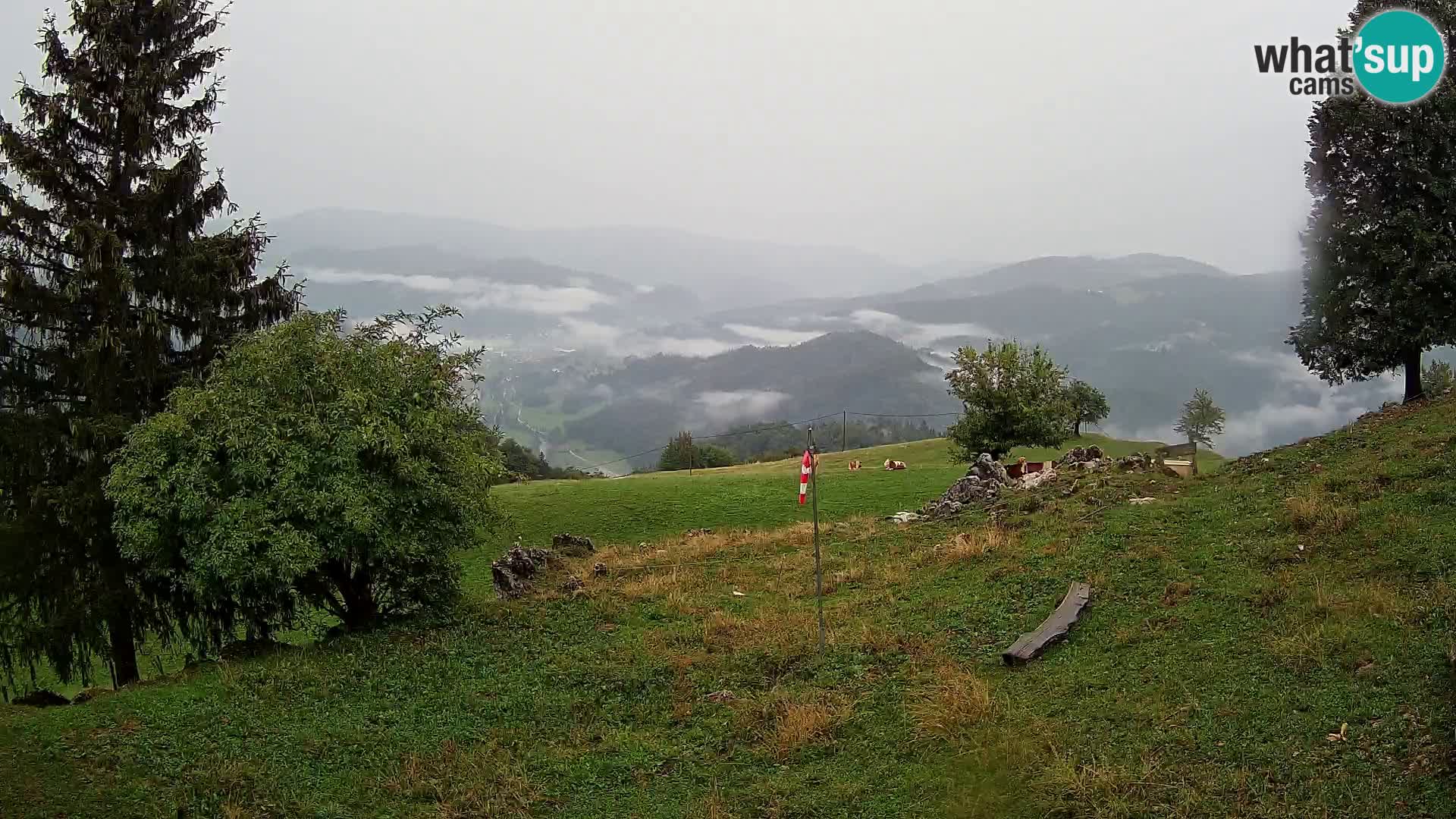 Slajka livecam | Gorenja Vas | Slovénie