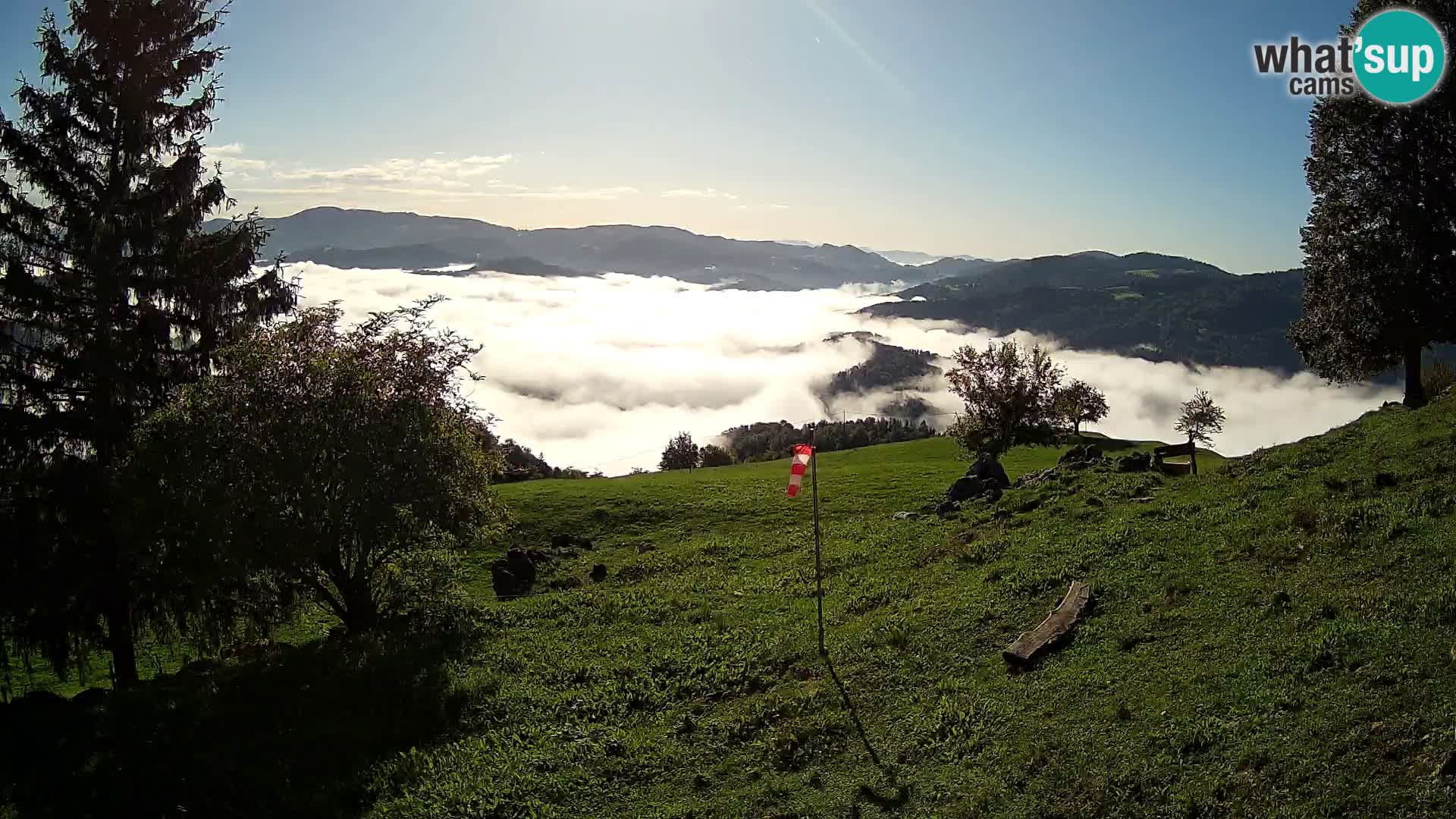 Slajka camera en vivo | Gorenja Vas | Eslovenia