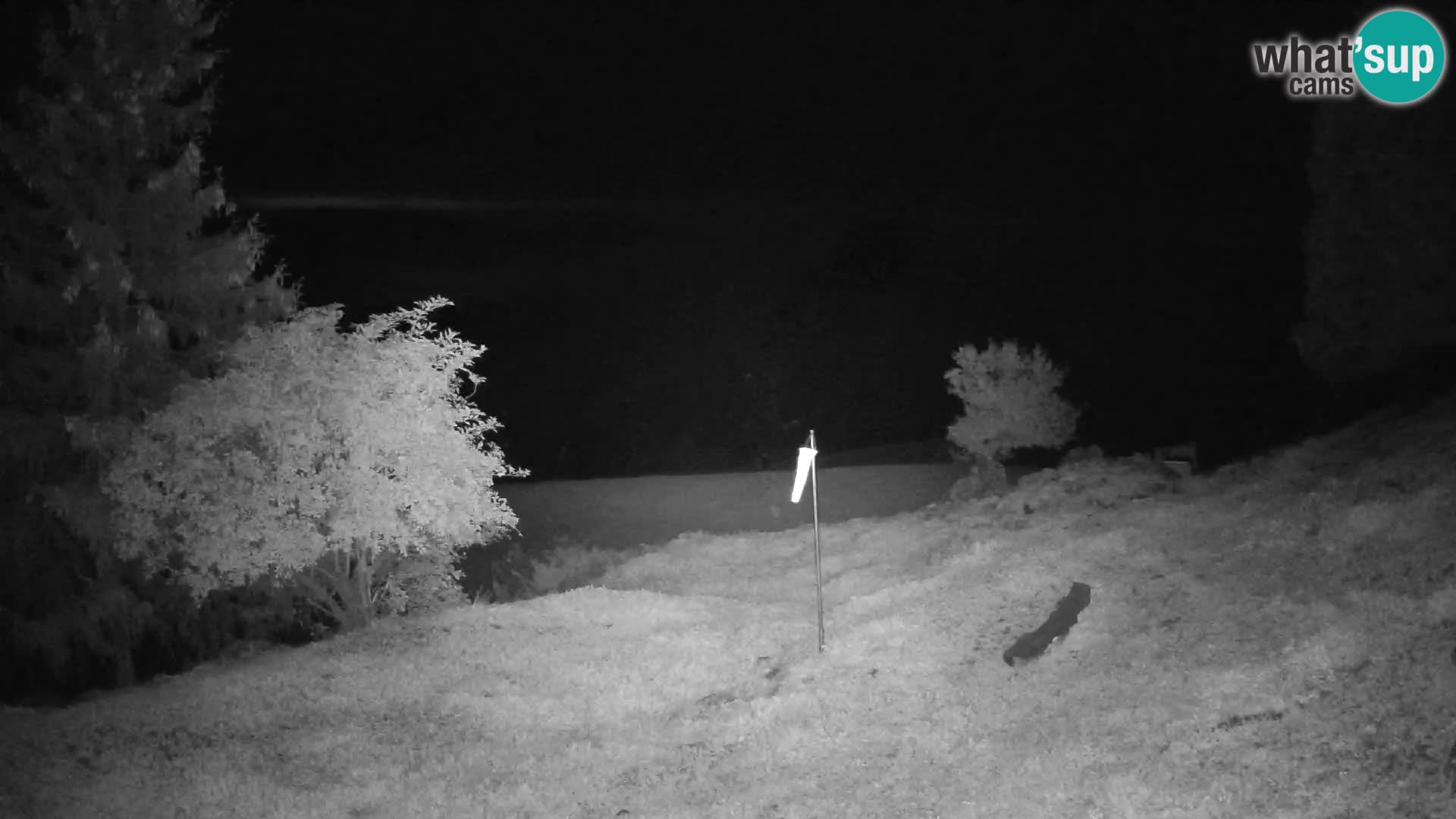 Slajka webcam | Gorenja Vas | Slowenien