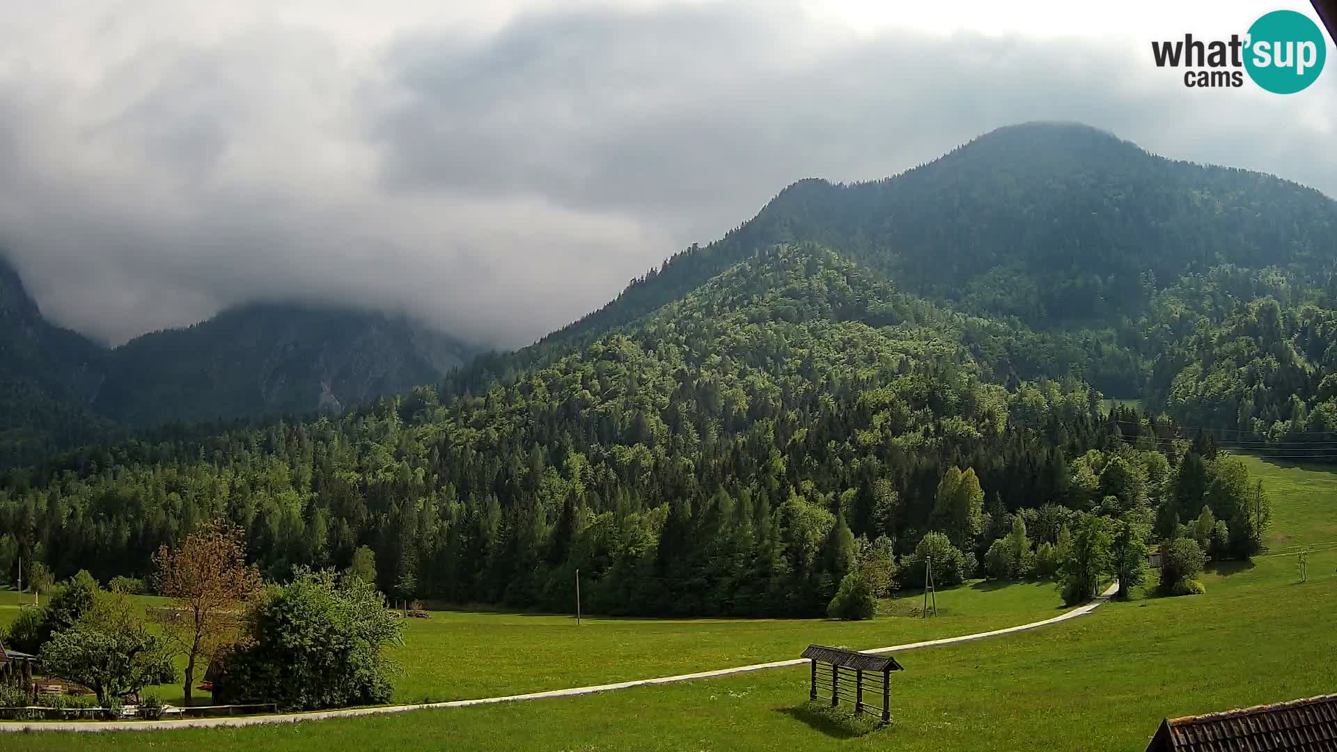 Gozd Martuljek – Špik Mountain Group