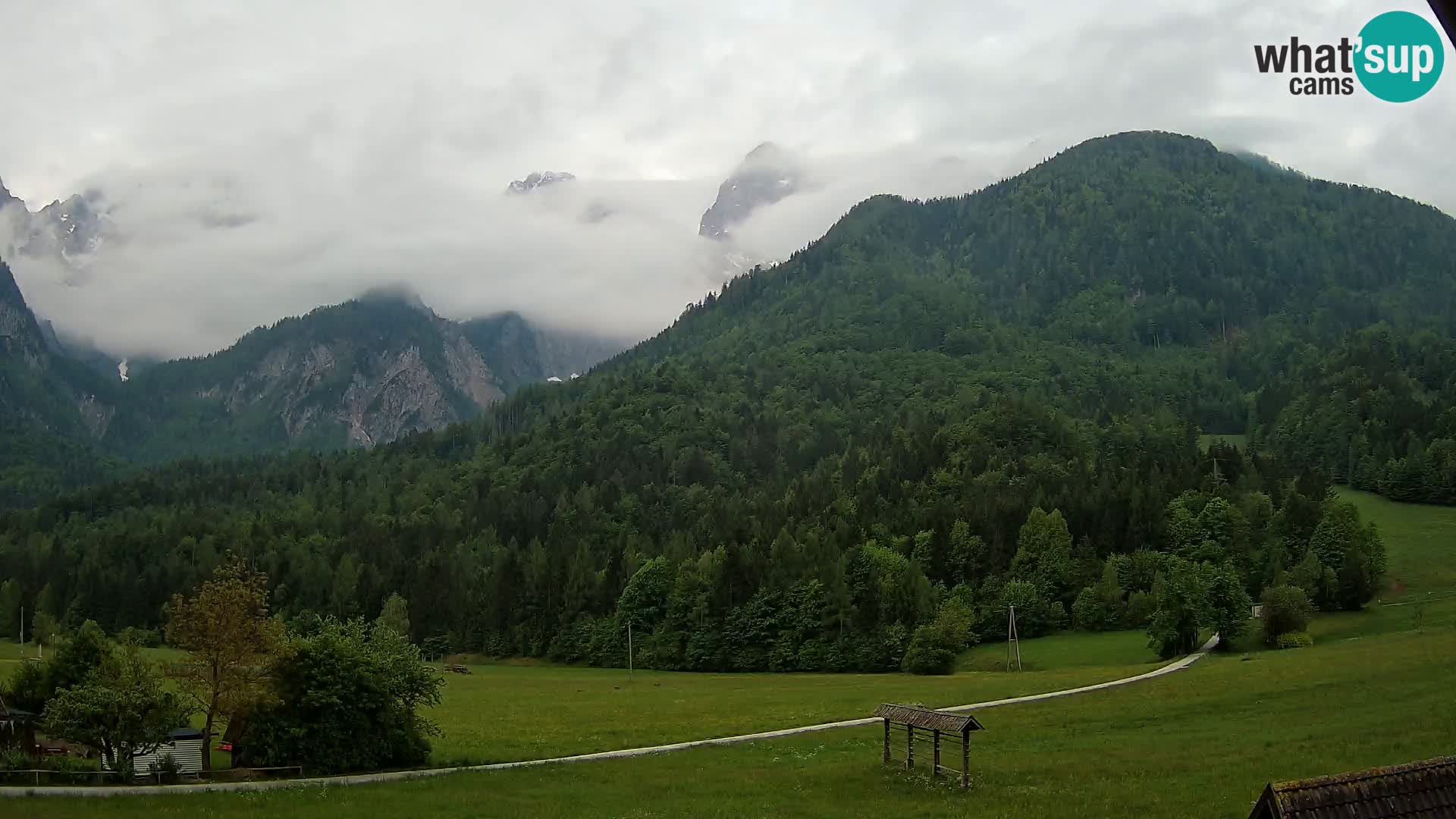 Gozd Martuljek – Špikova skupina