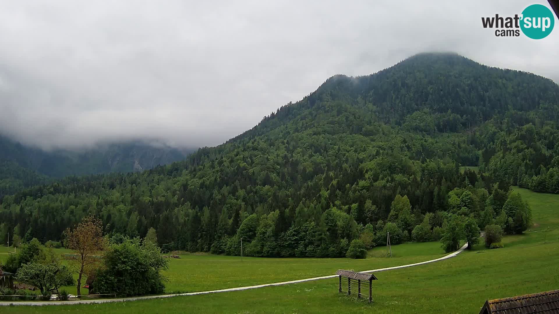 Gozd Martuljek – Špik Mountain Group