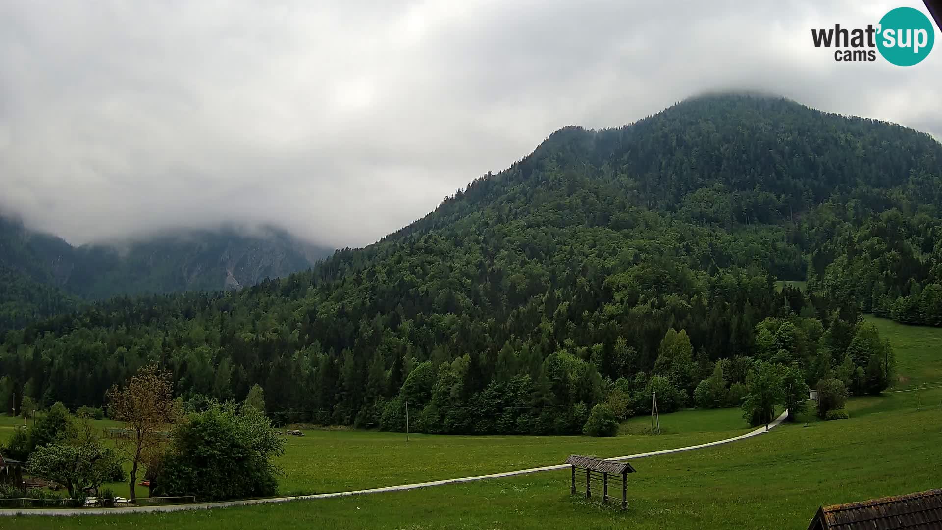 Gozd Martuljek – Špikova skupina