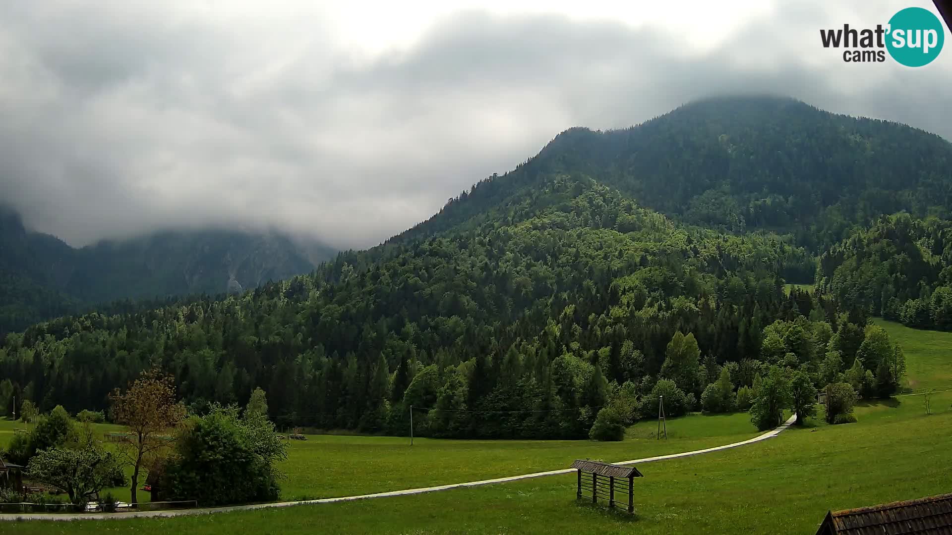 Gozd Martuljek –  planinski lanac Špik