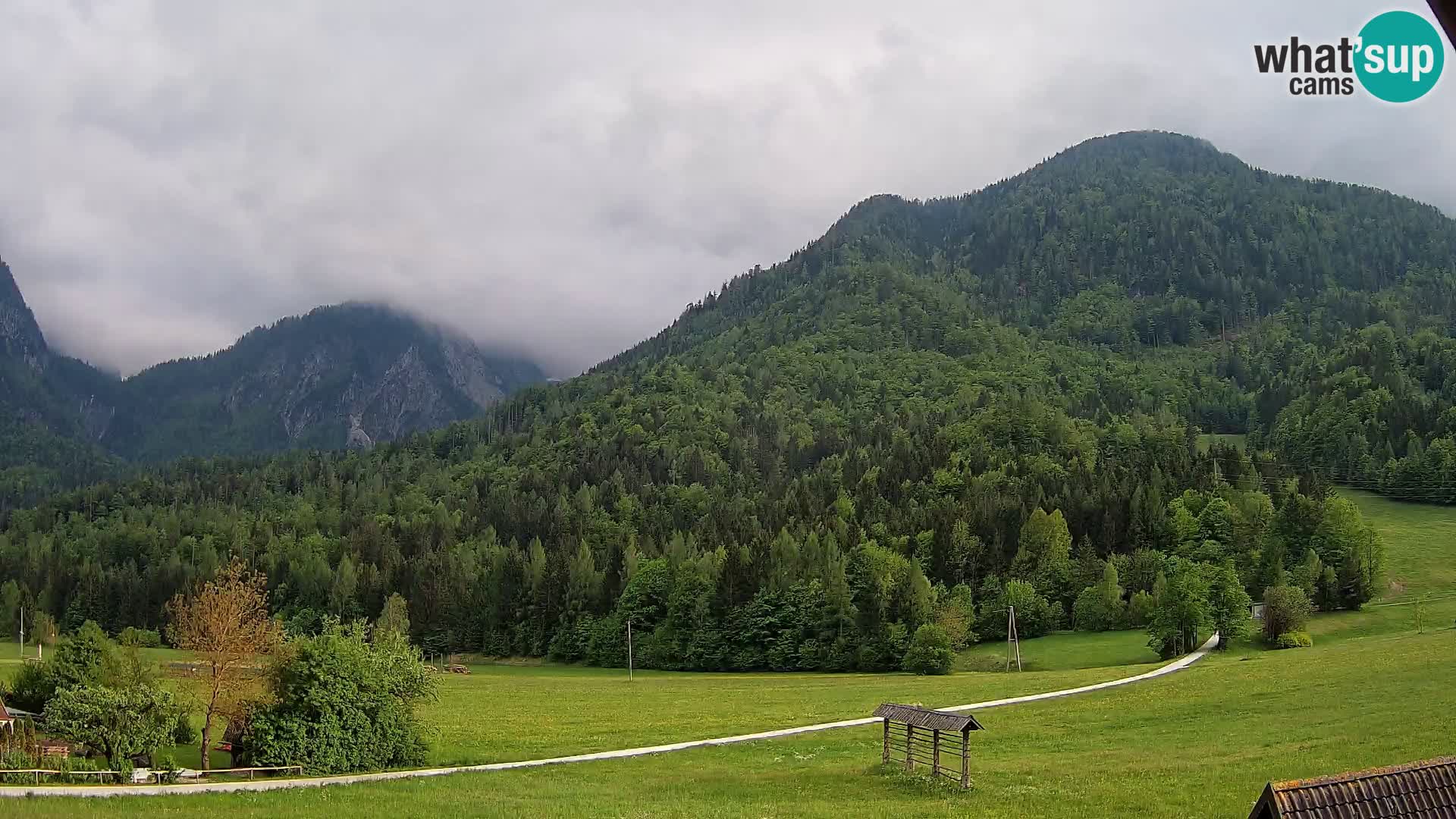 Gozd Martuljek – Špik Mountain Group