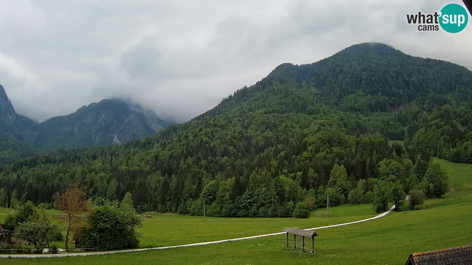 Gozd Martuljek – Špikova skupina