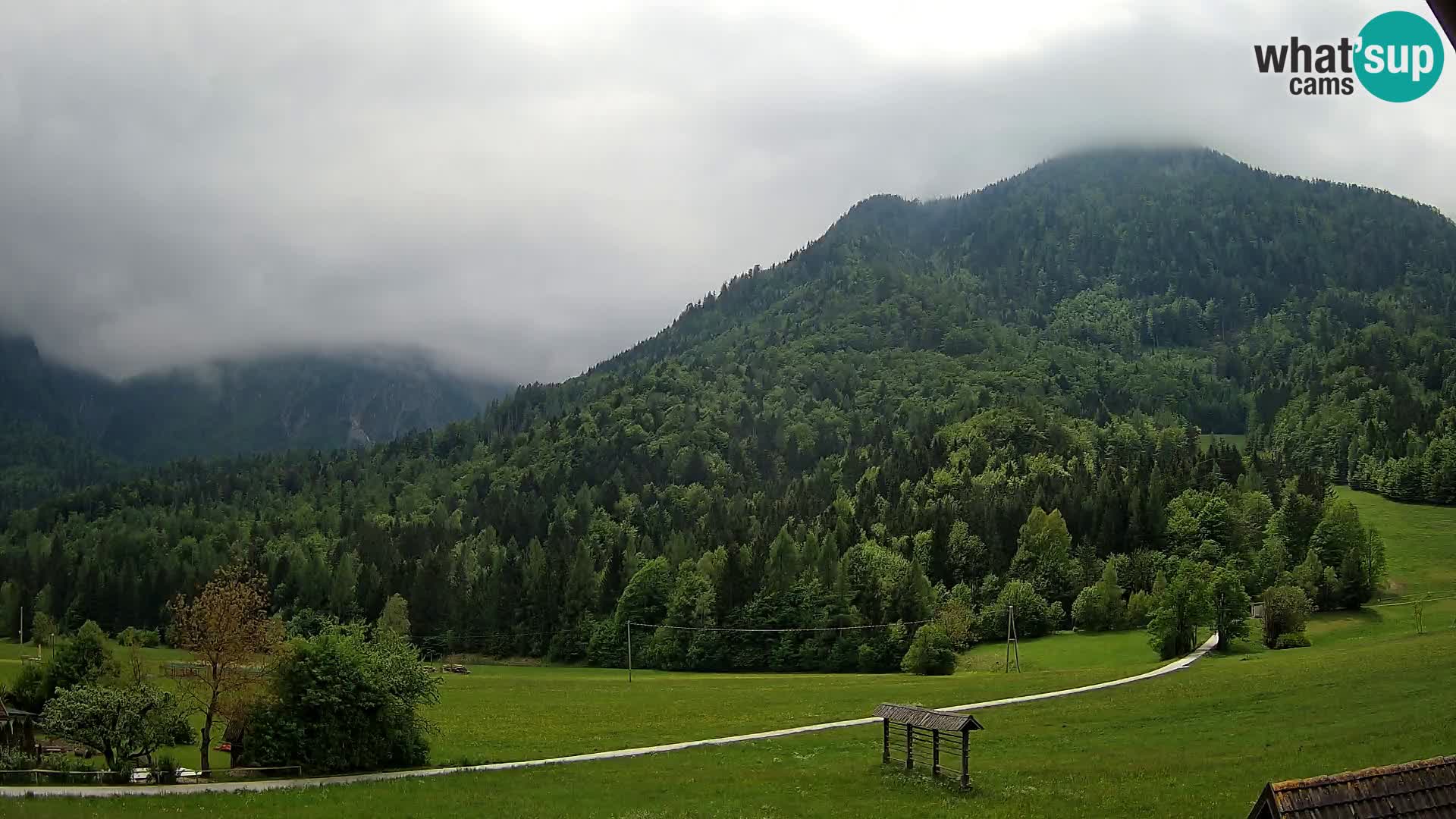 Gozd Martuljek – Špik Mountain Group