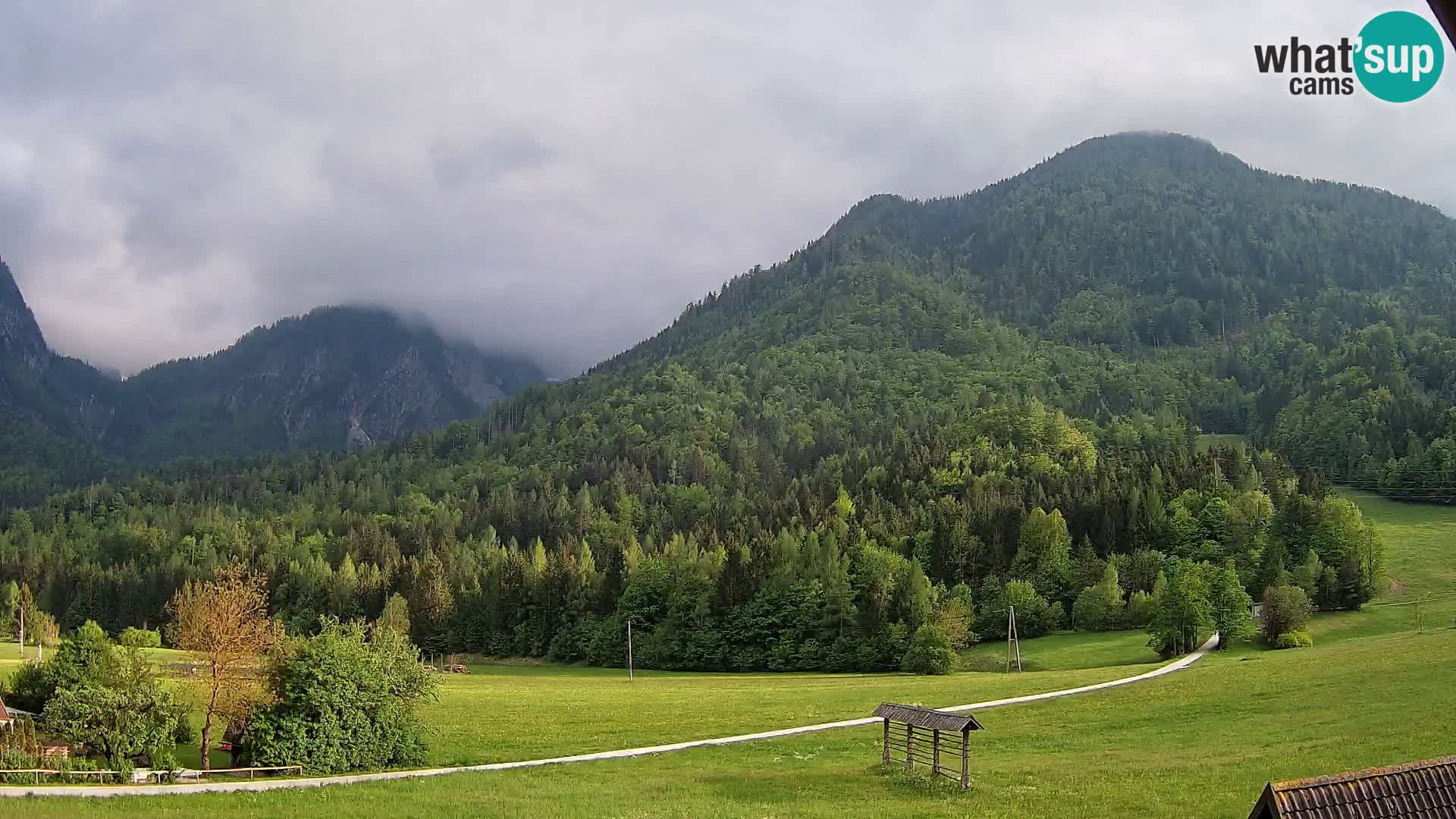 Gozd Martuljek – Špik Mountain Group