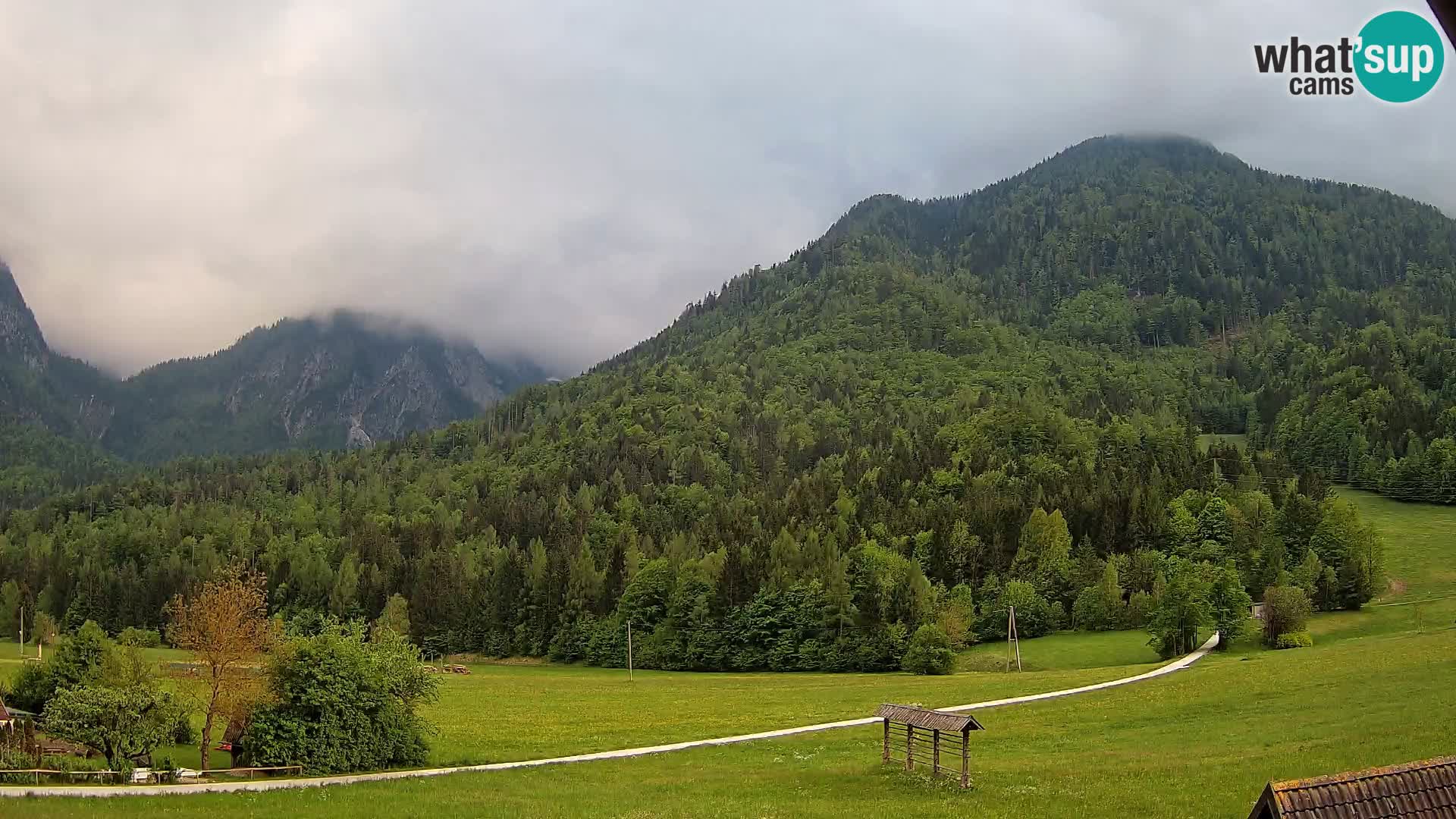 Gozd Martuljek – Špik Mountain Group
