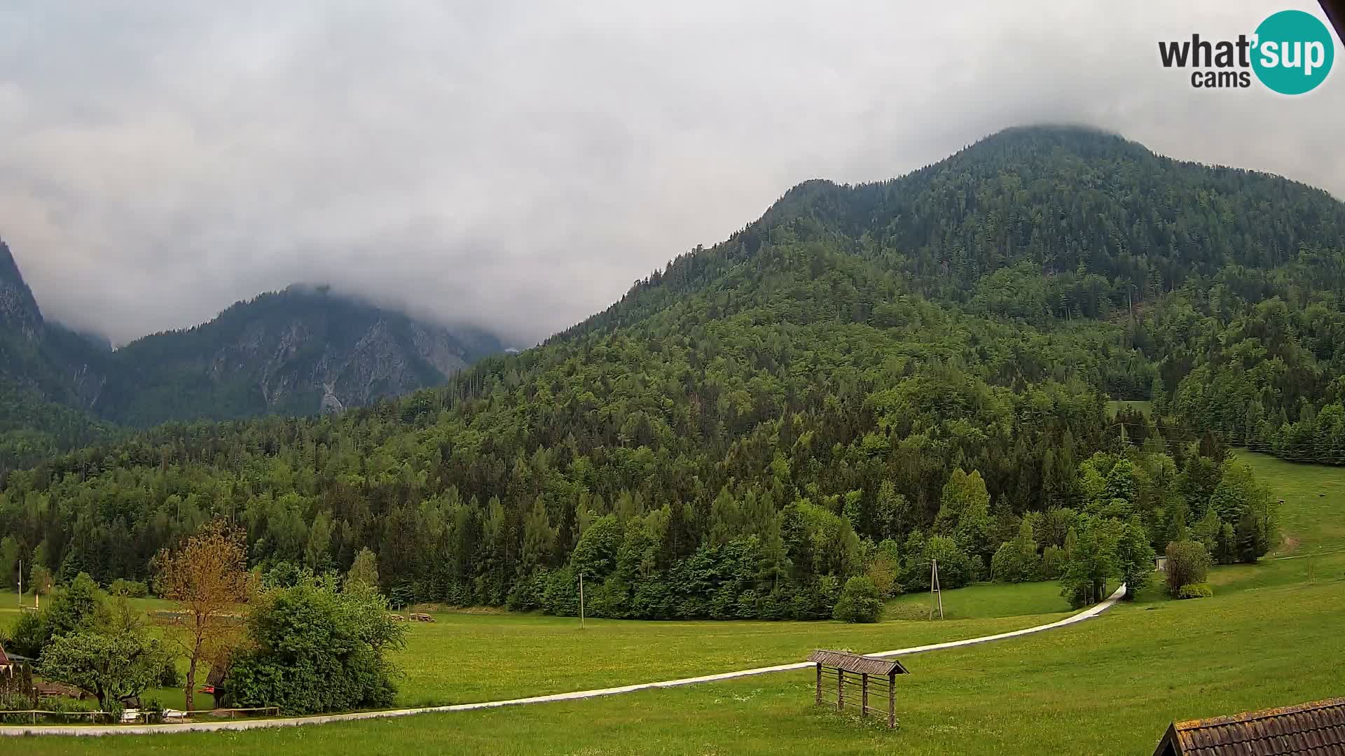 Gozd Martuljek –  planinski lanac Špik