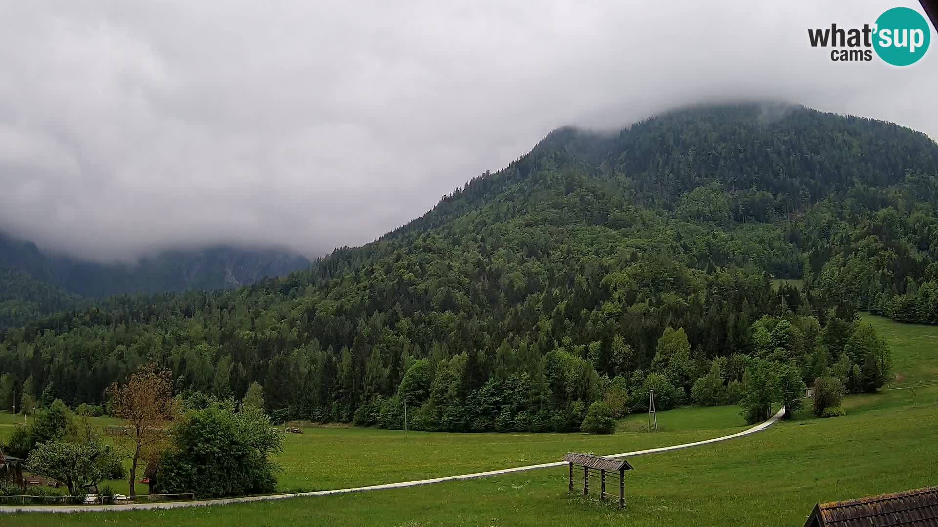 Gozd Martuljek – Špikova skupina