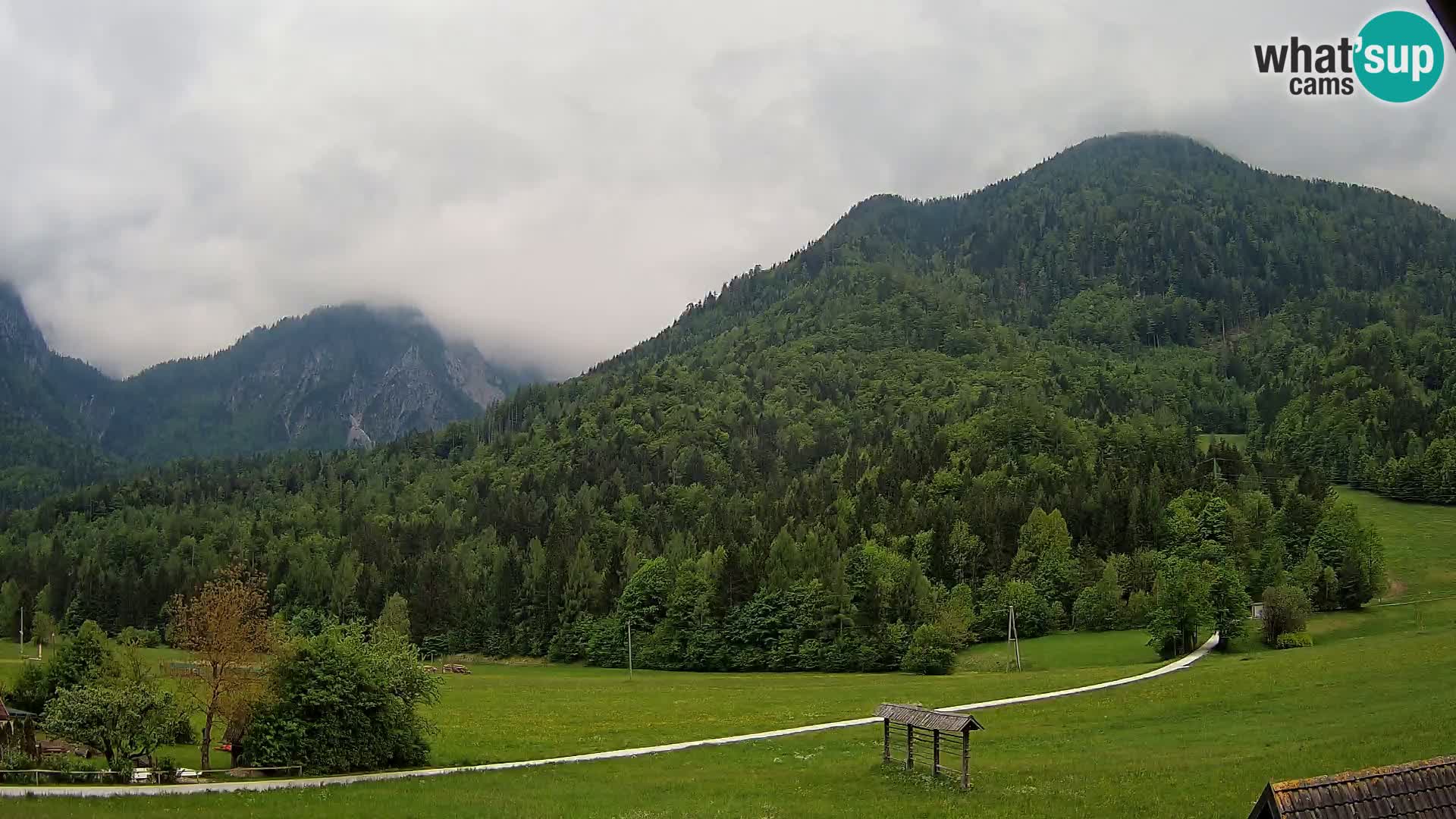 Gozd Martuljek –  planinski lanac Špik
