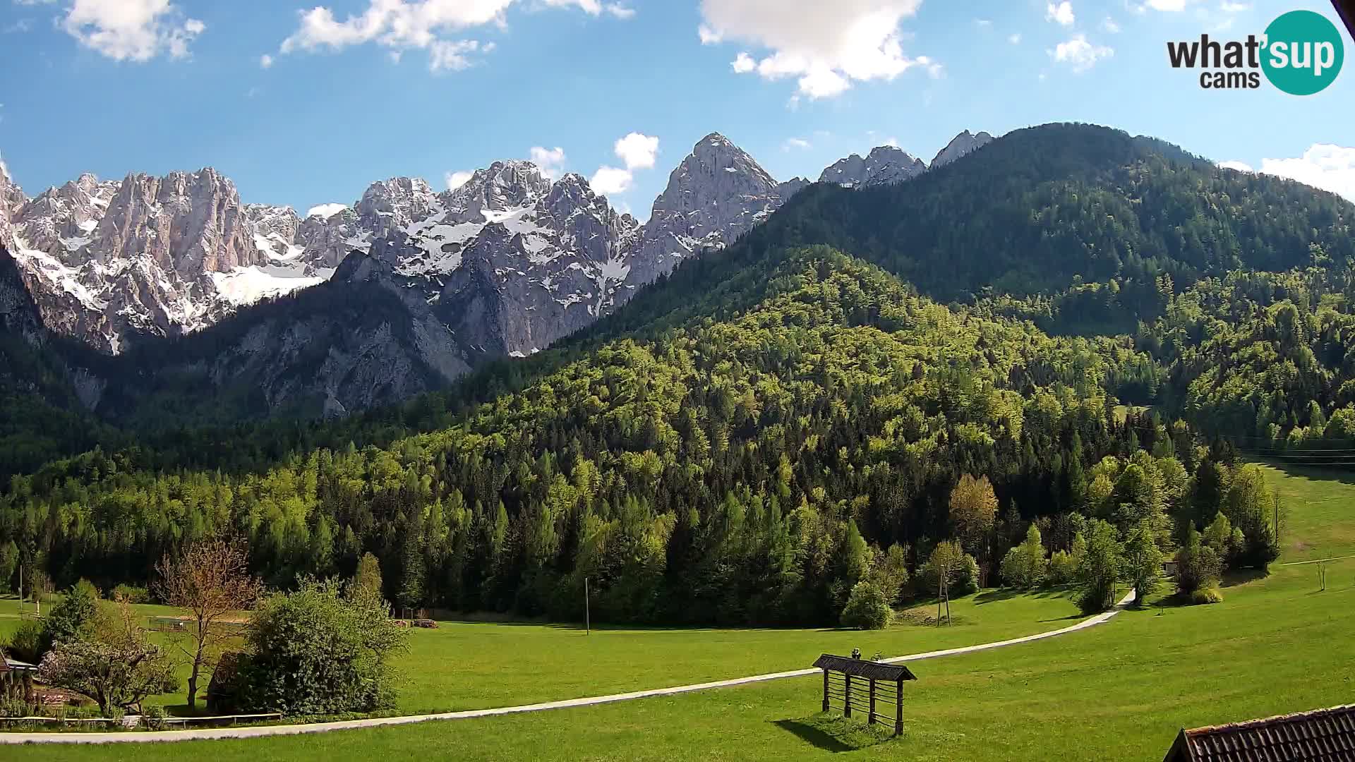 Gozd Martuljek – Špik Mountain Group