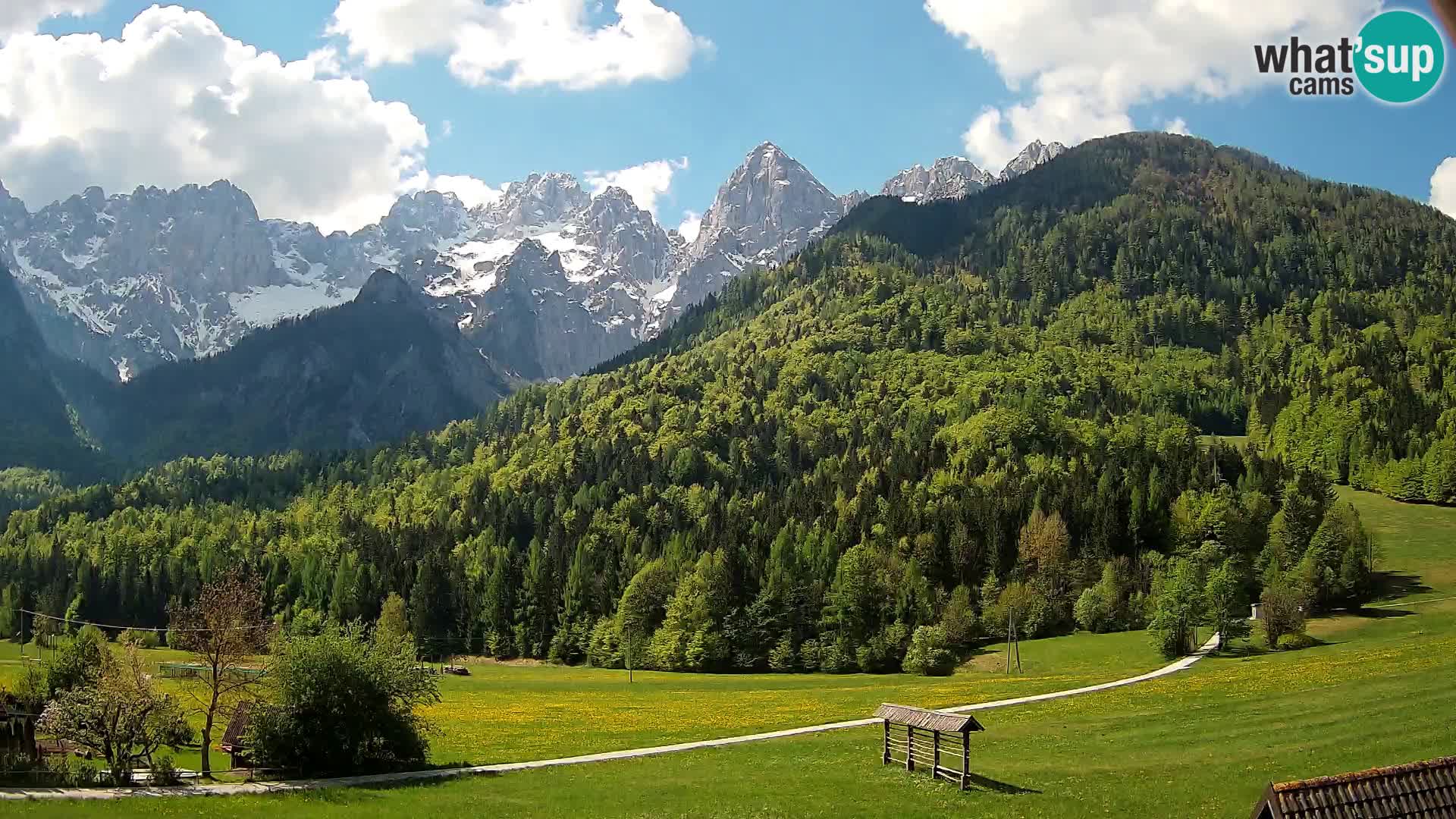 Gozd Martuljek – Špik Mountain Group