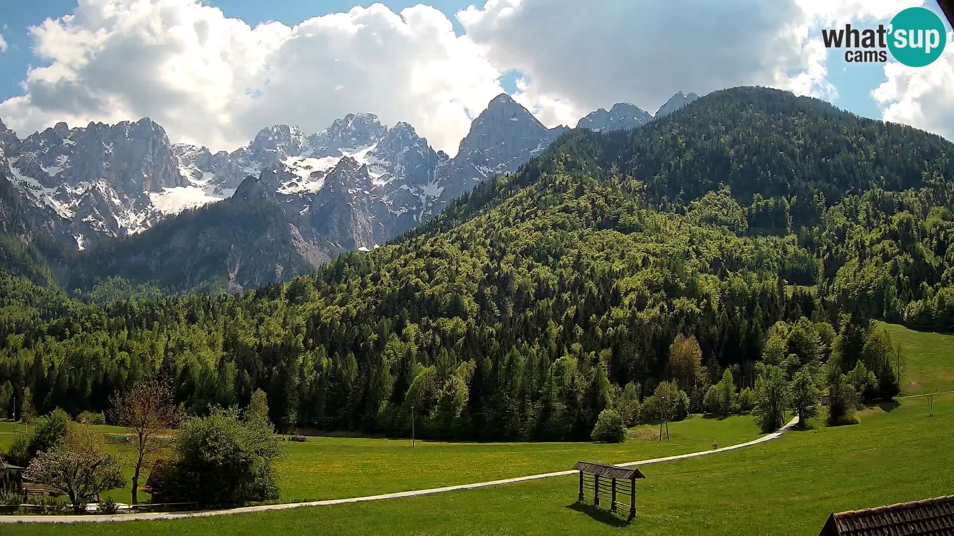 Gozd Martuljek – Špik Mountain Group