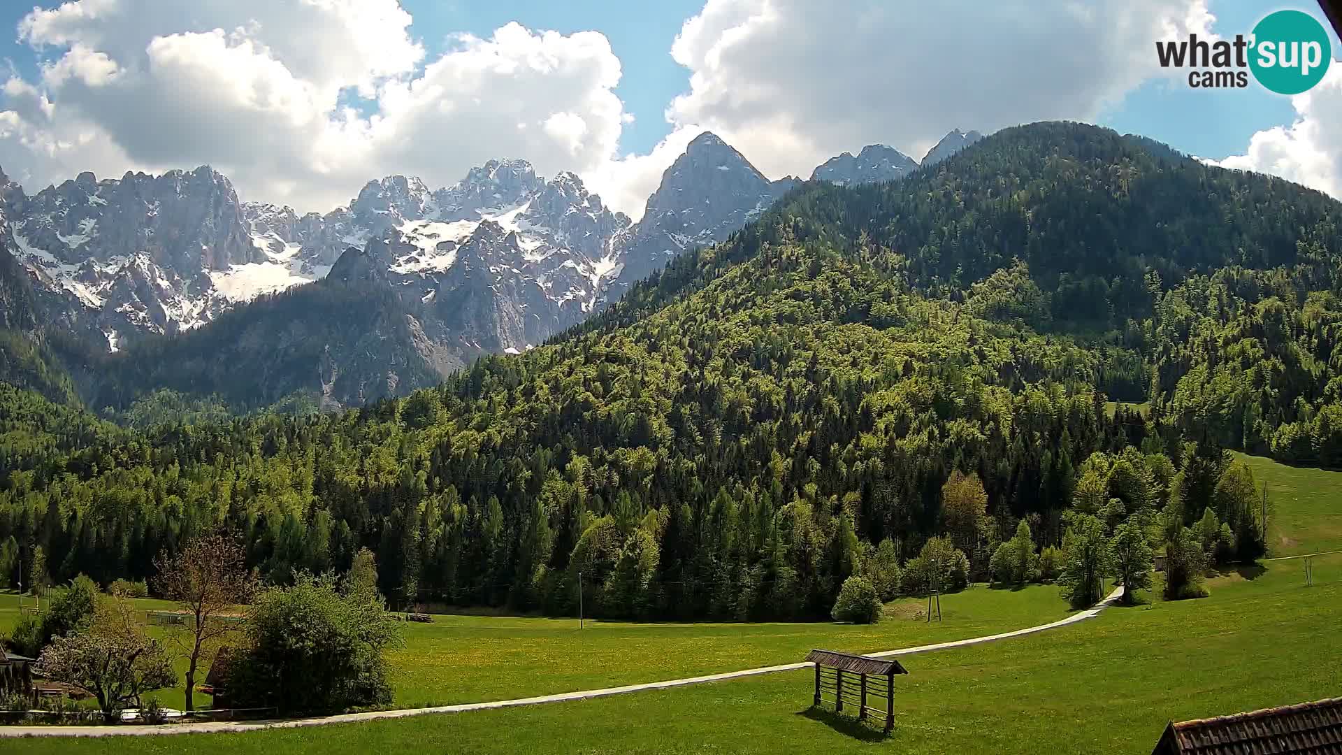 Gozd Martuljek – Špik Mountain Group