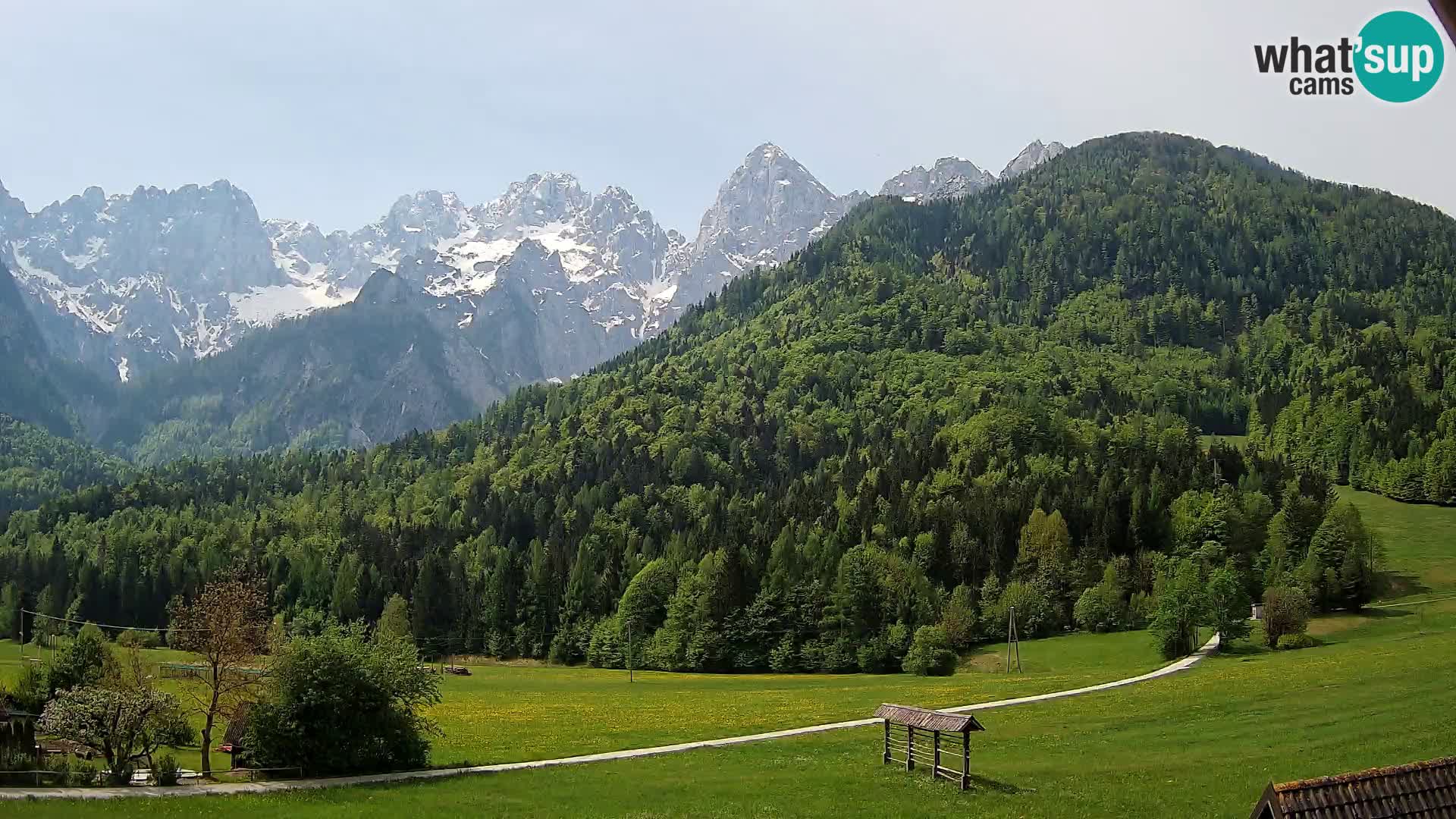 Gozd Martuljek – Špik Mountain Group