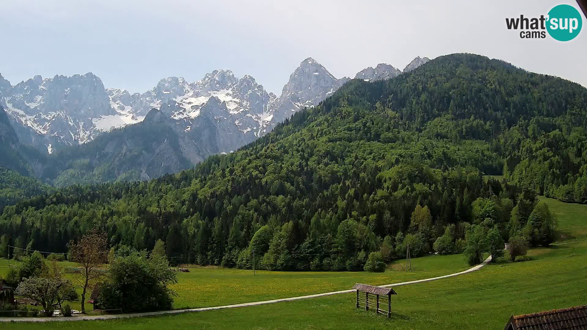 Gozd Martuljek – Špik Mountain Group