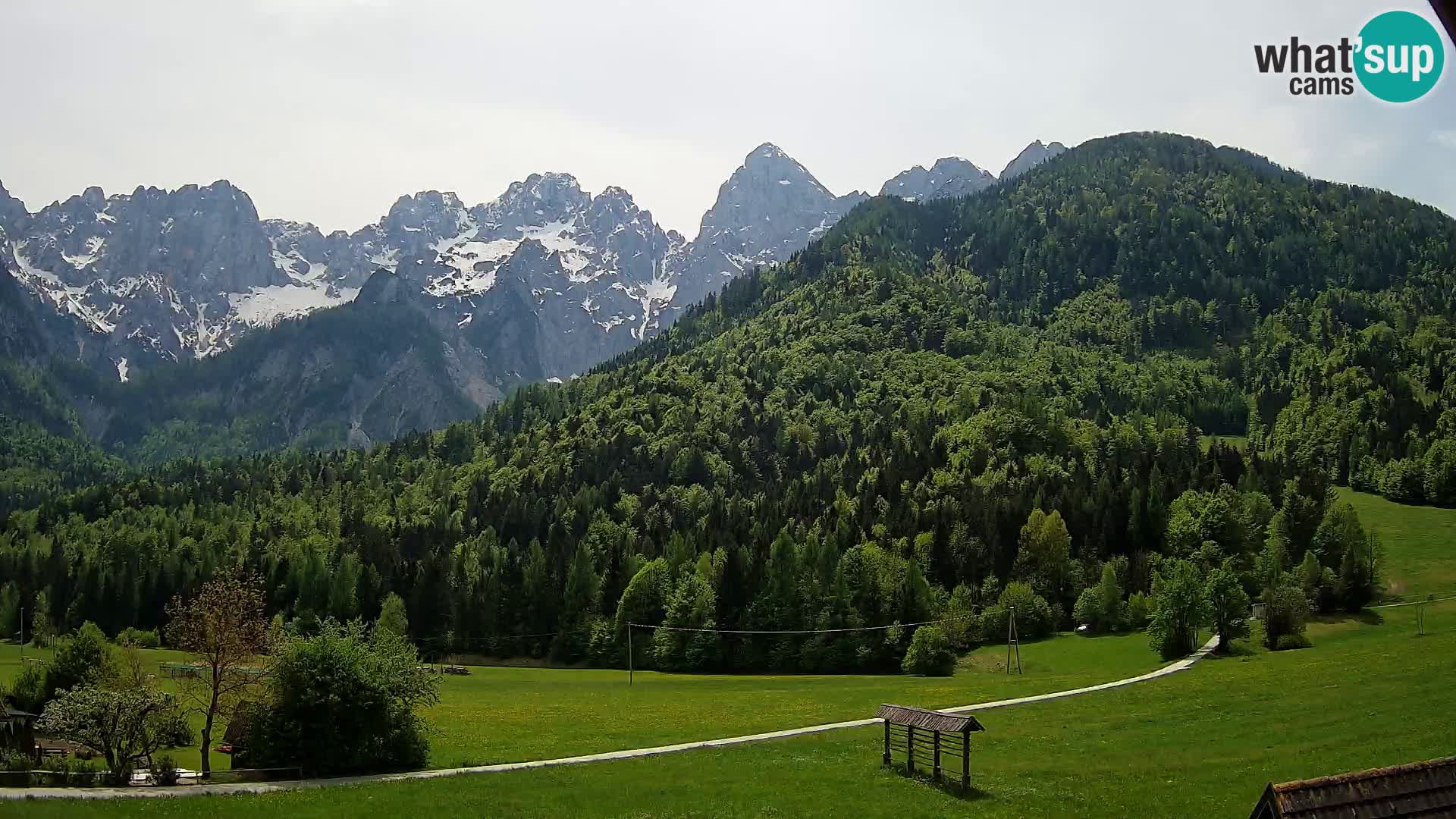 Gozd Martuljek – Špik Mountain Group