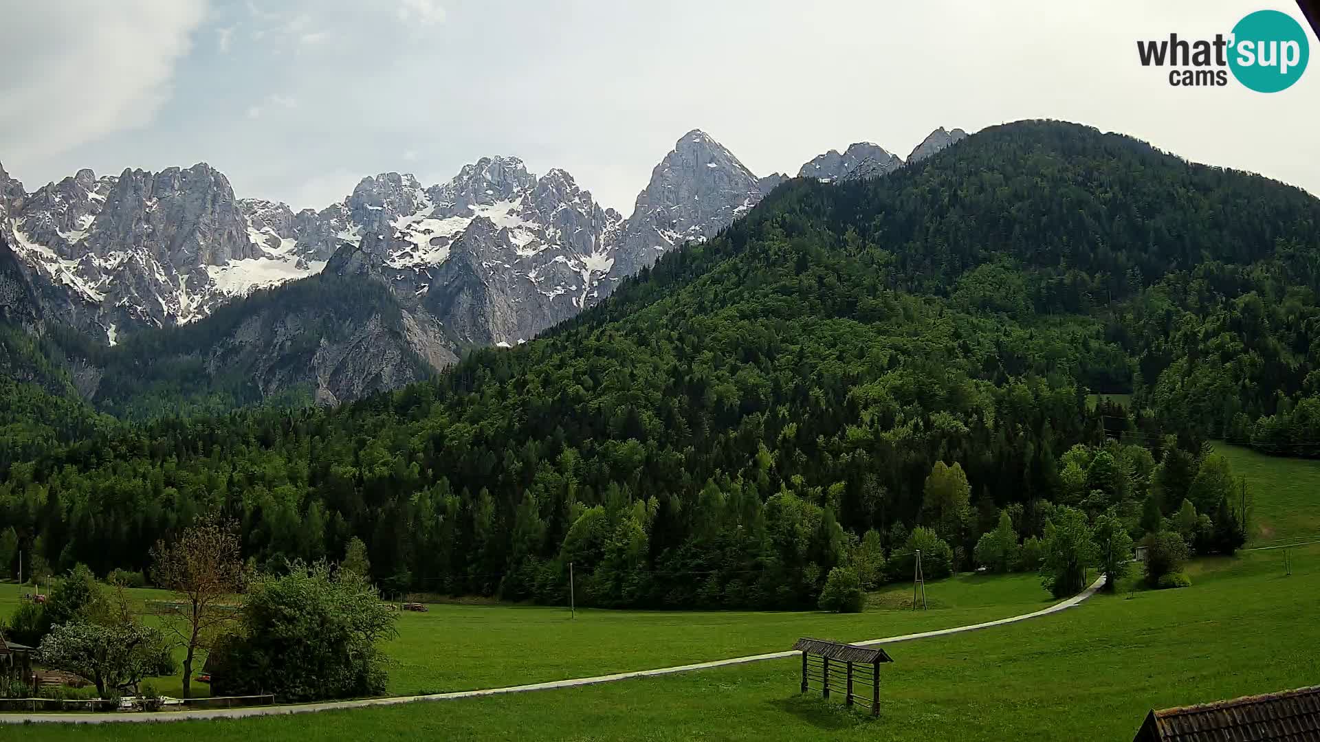Gozd Martuljek – Špik Mountain Group