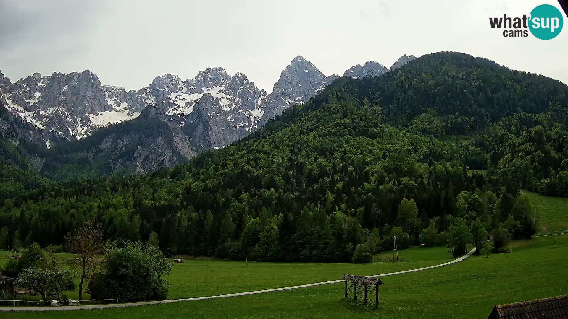 Gozd Martuljek – Špik Mountain Group