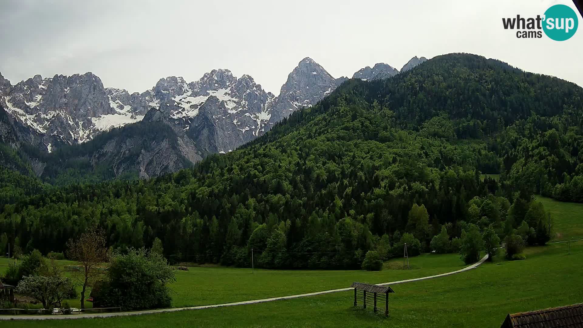 Gozd Martuljek – Špik Mountain Group