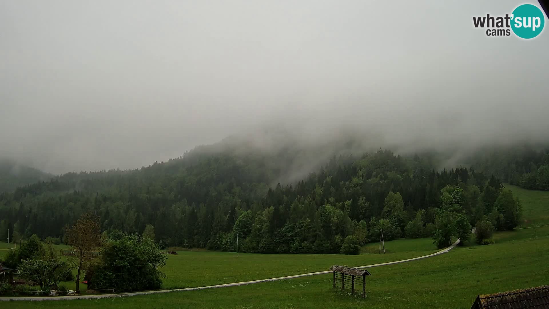 Gozd Martuljek – Špikova skupina