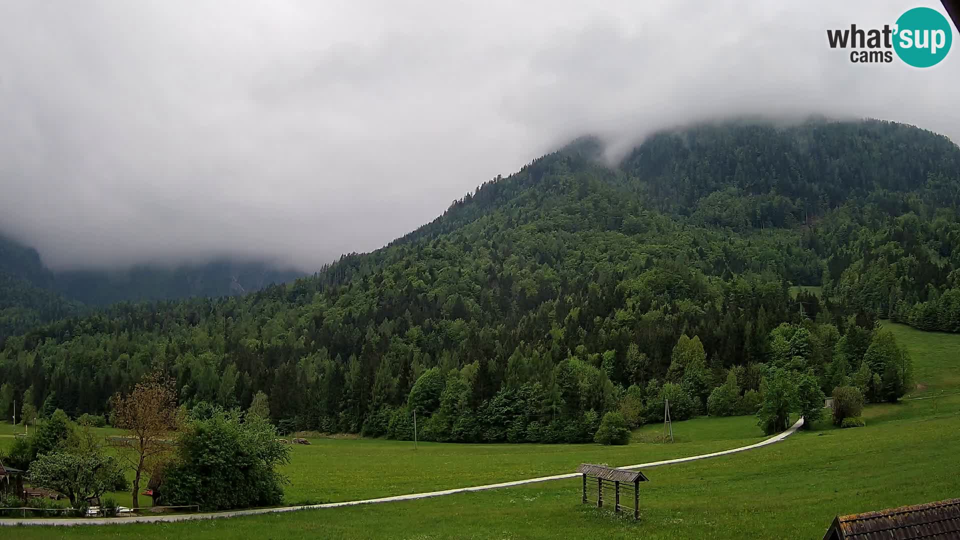 Gozd Martuljek – Špik Mountain Group