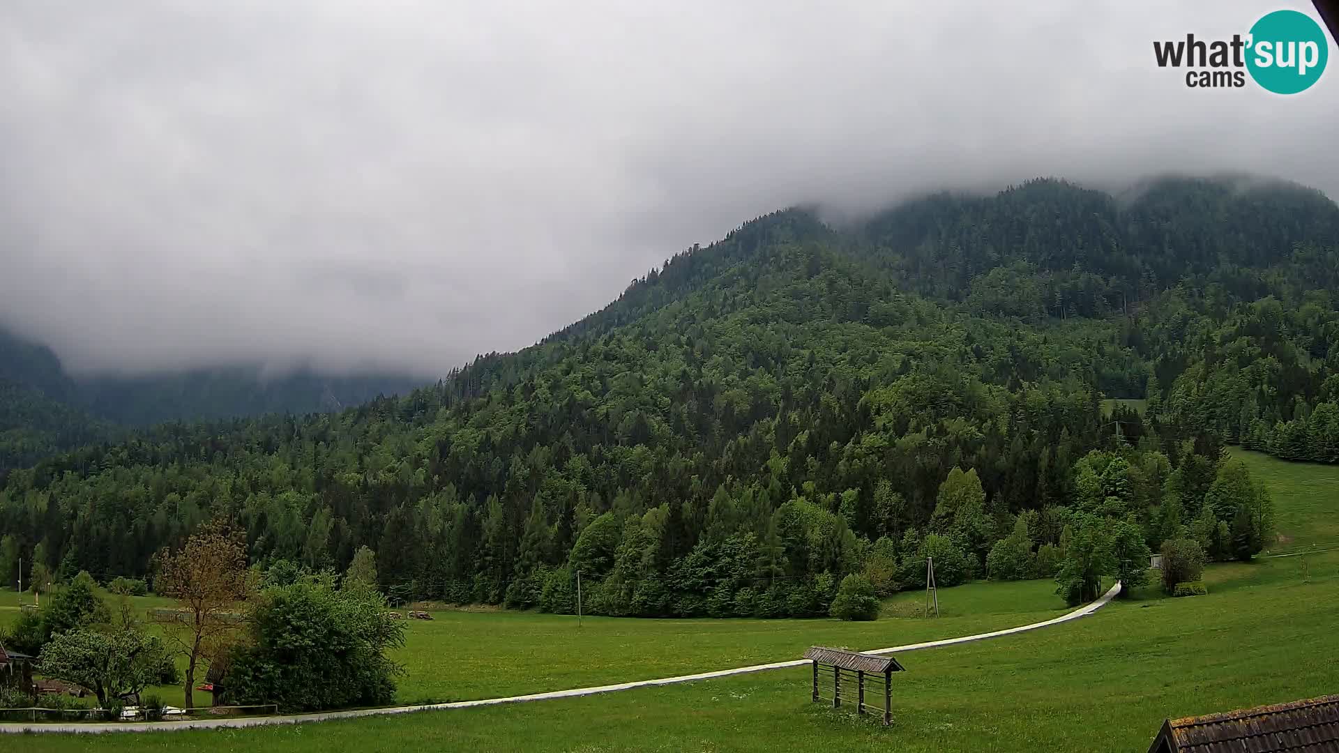 Gozd Martuljek – Špik Mountain Group