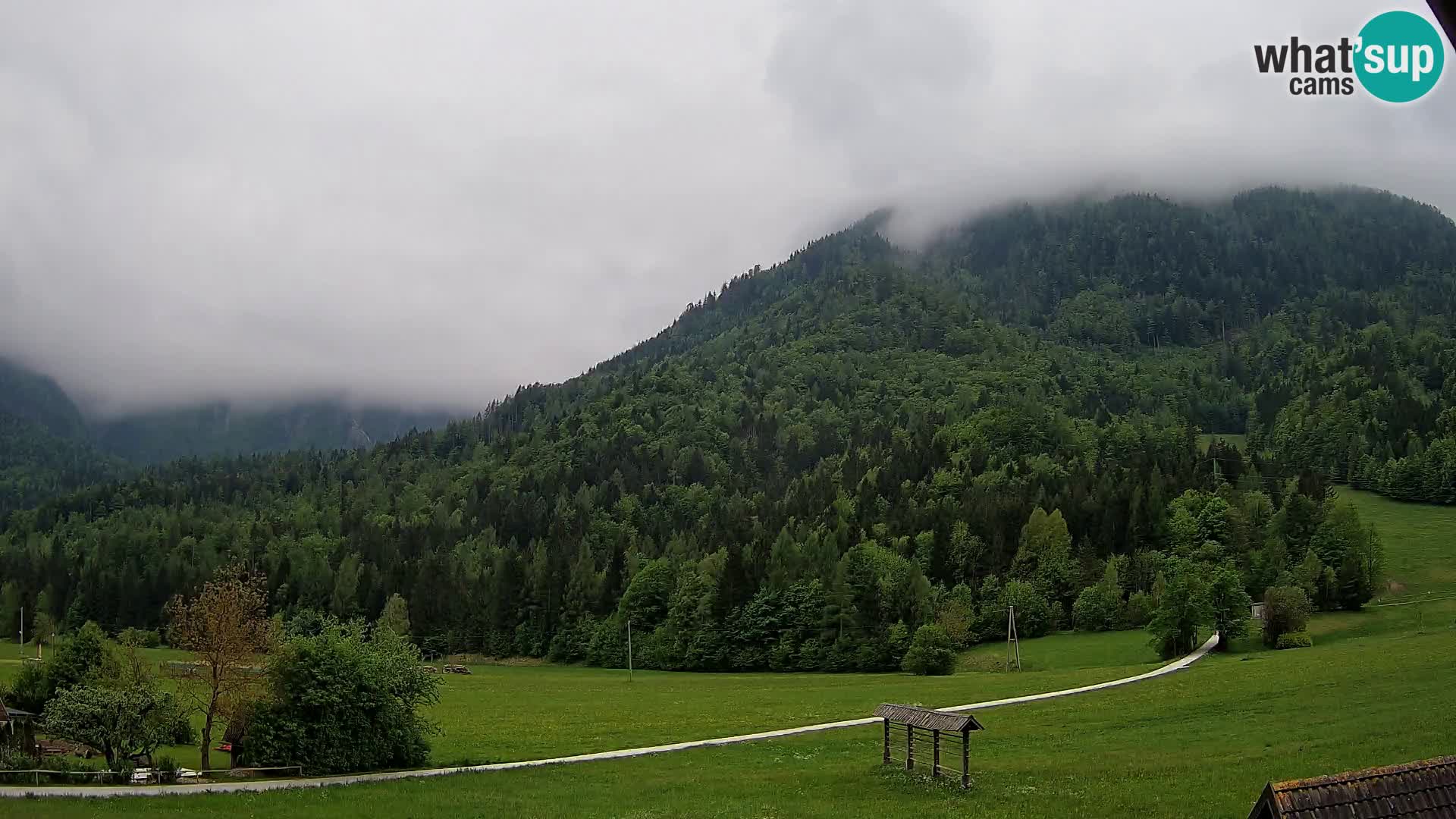 Gozd Martuljek – Špik Mountain Group