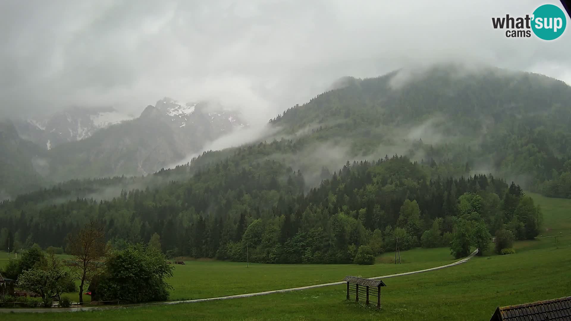 Gozd Martuljek – Špik Mountain Group