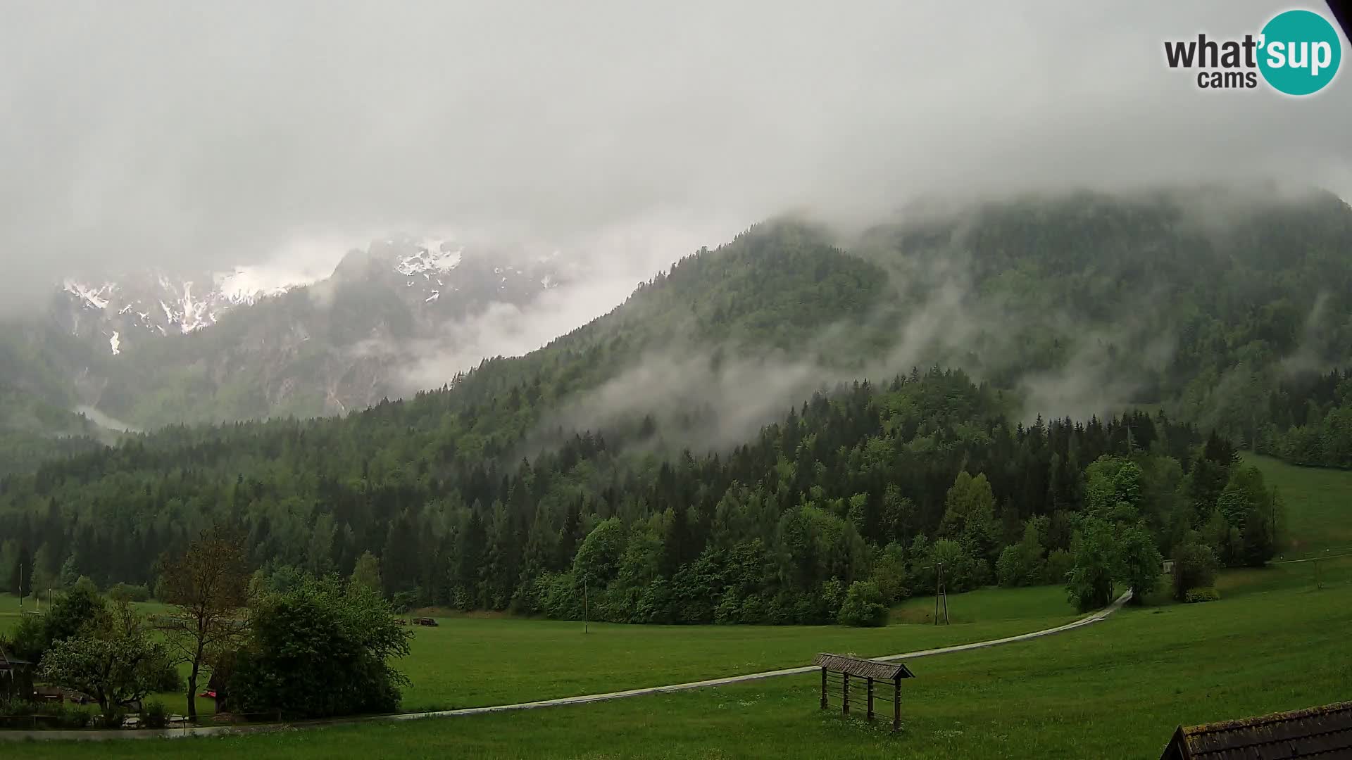 Gozd Martuljek – Špikova skupina