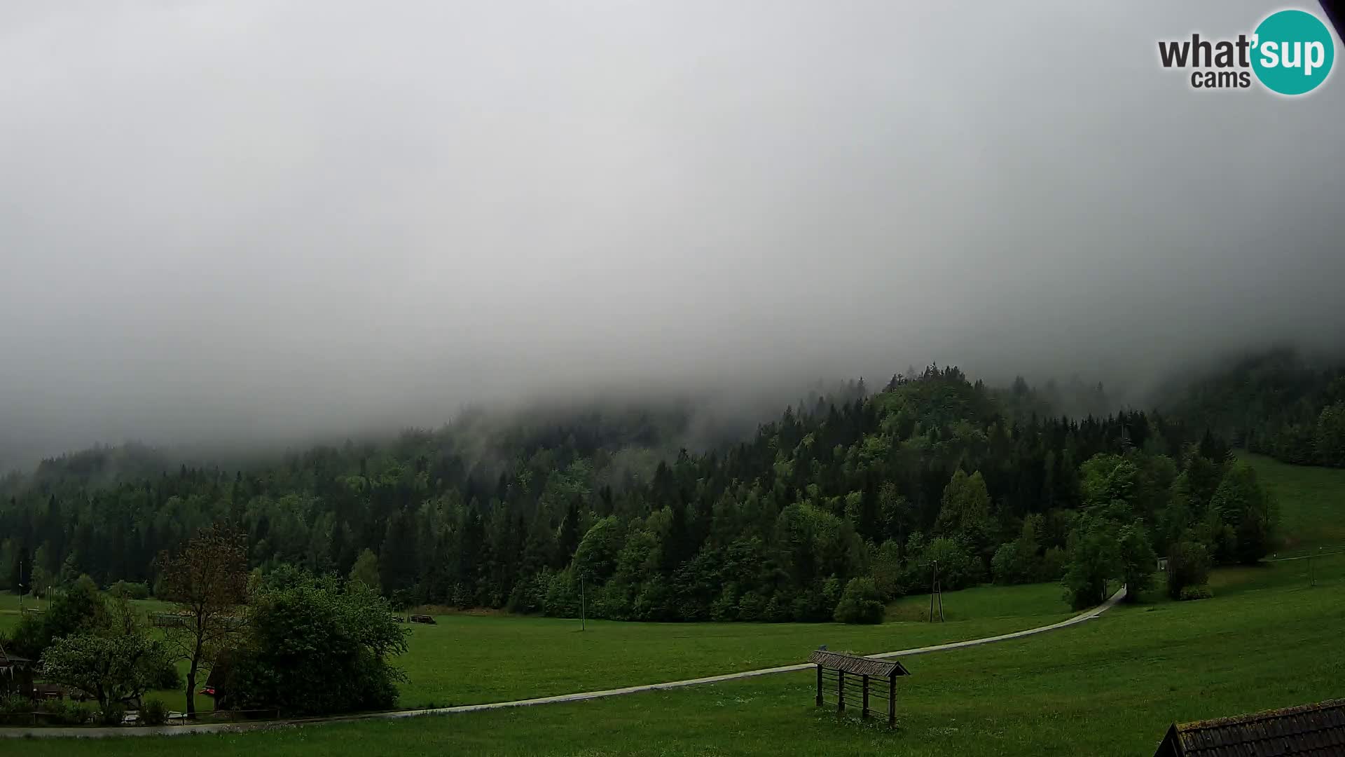 Gozd Martuljek – Špik Mountain Group