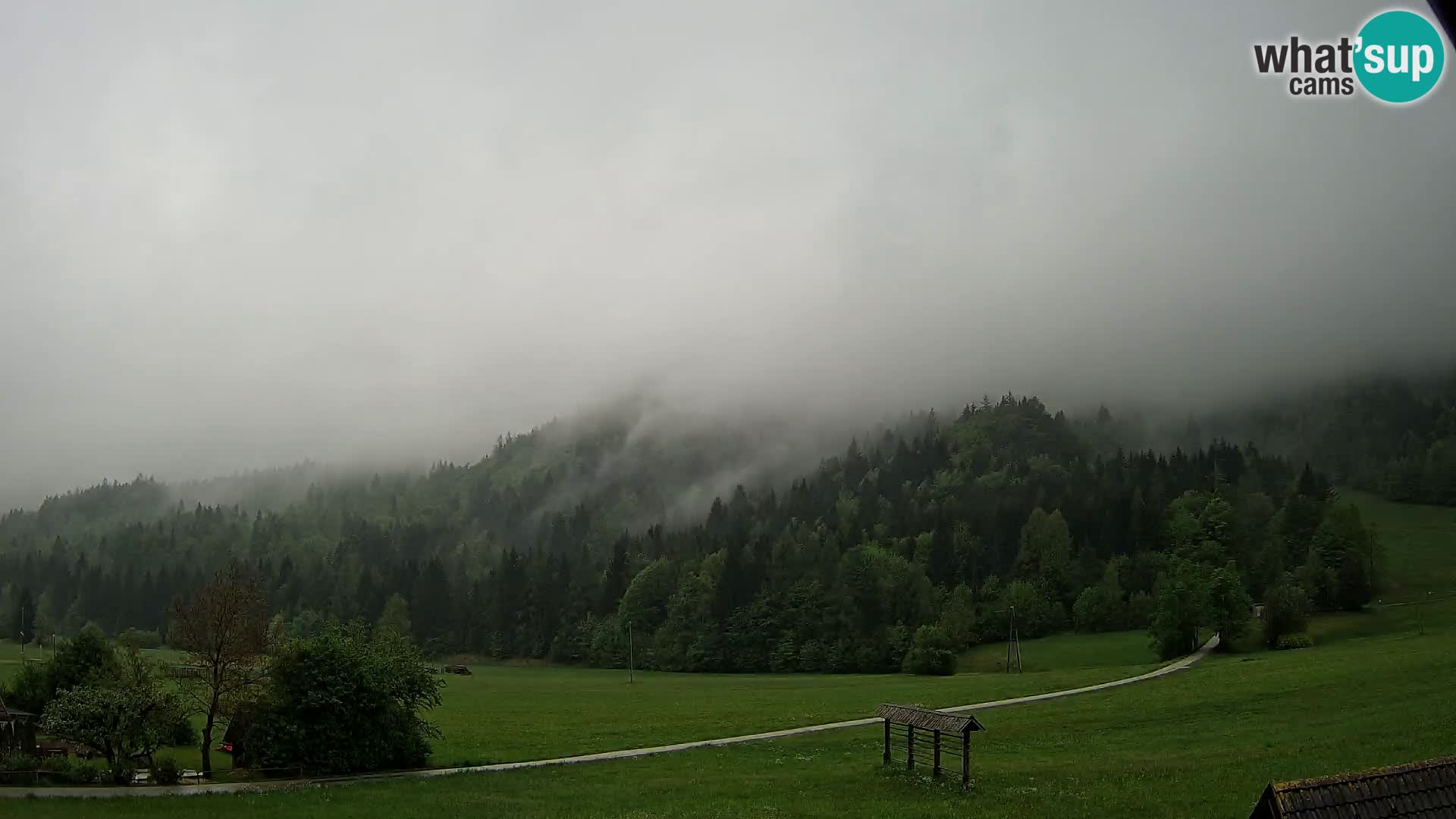 Gozd Martuljek – Špikova skupina