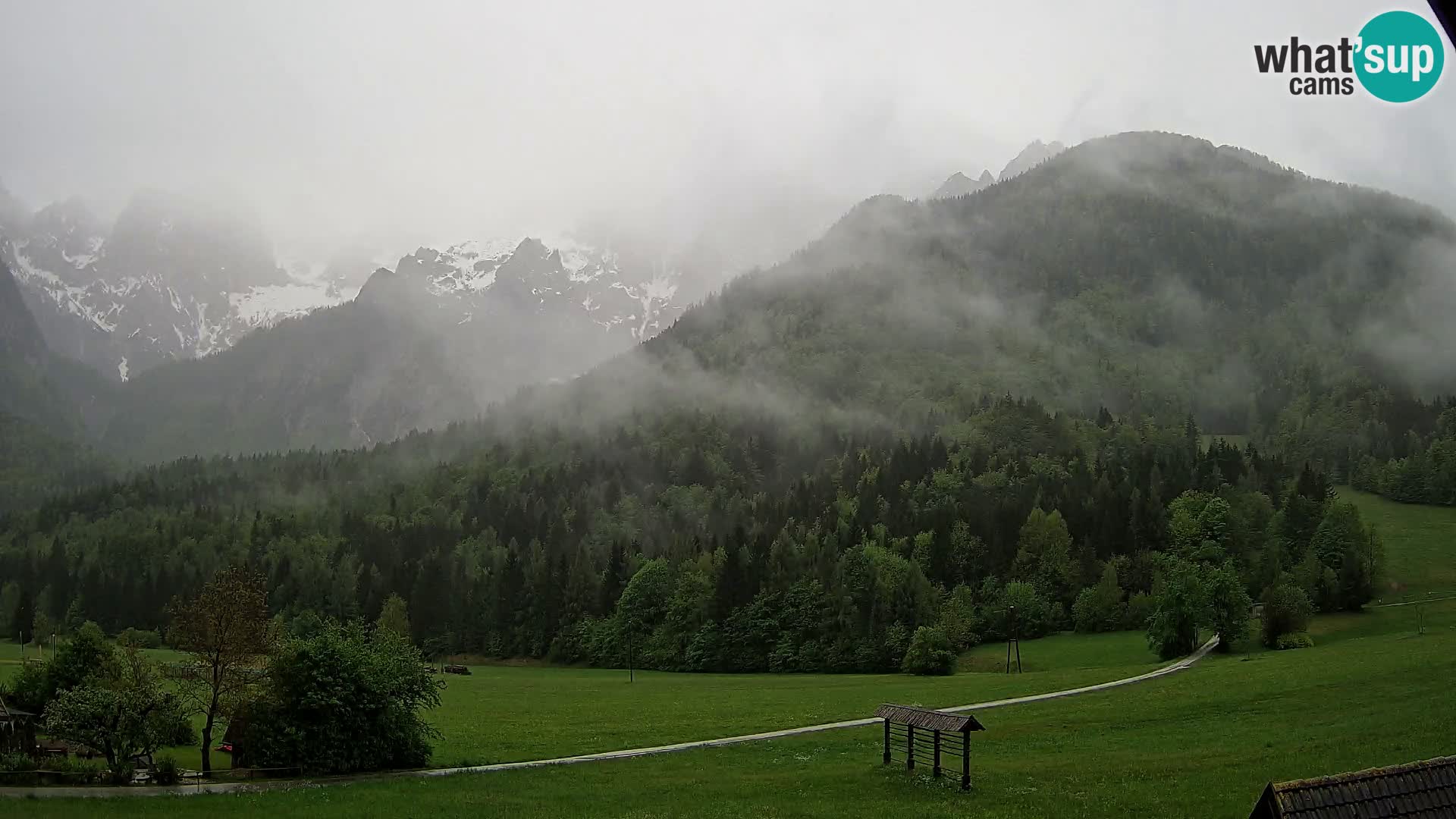 Gozd Martuljek – Špik Mountain Group