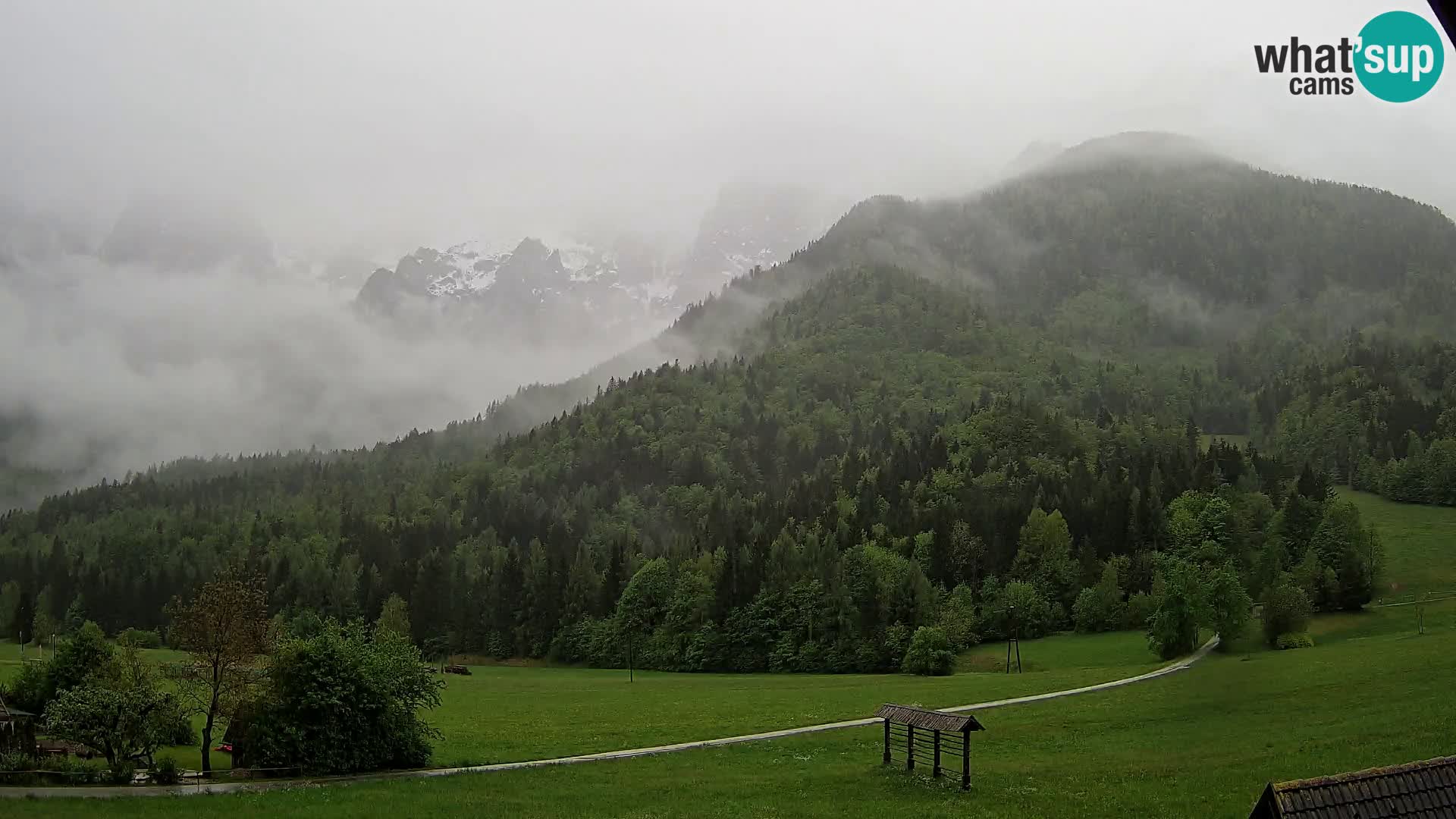 Gozd Martuljek – Špik Mountain Group