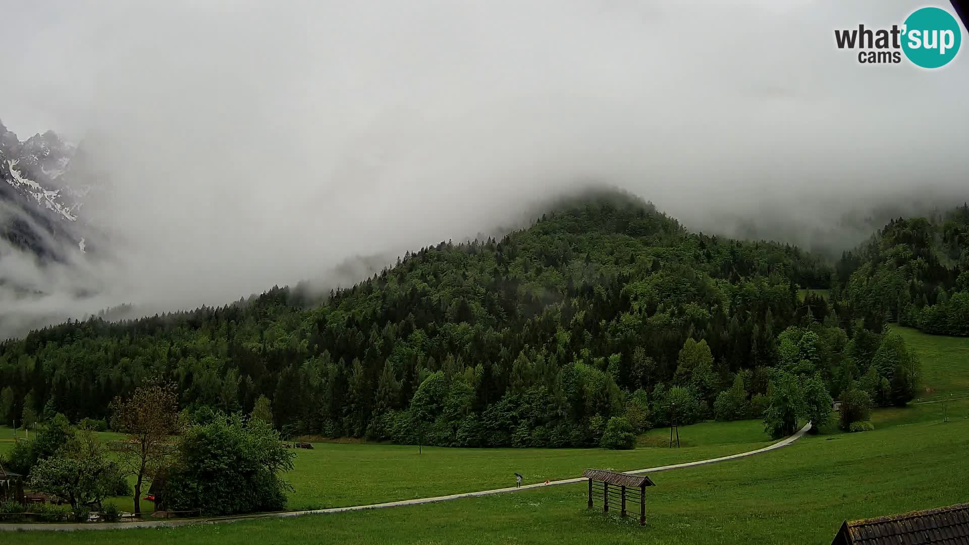 Gozd Martuljek – Špik Mountain Group