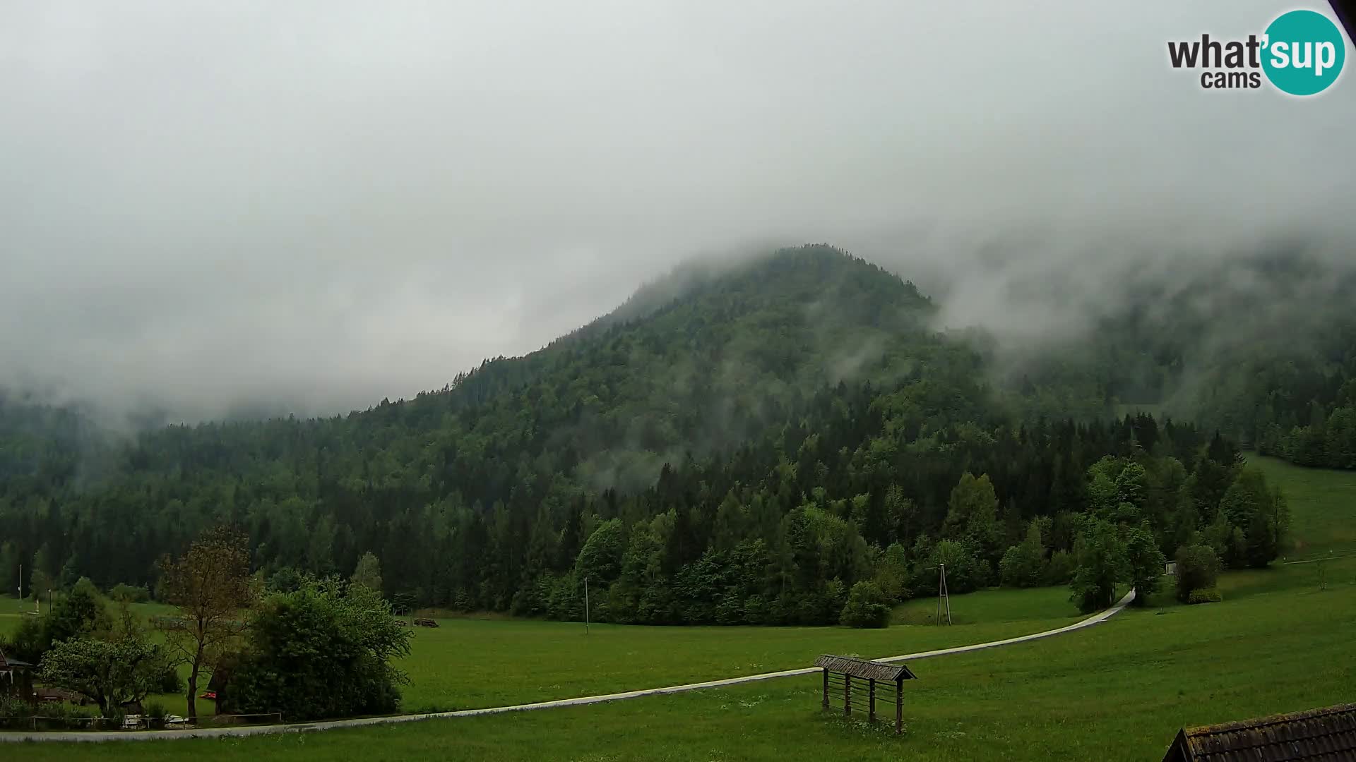 Gozd Martuljek – Špik Mountain Group