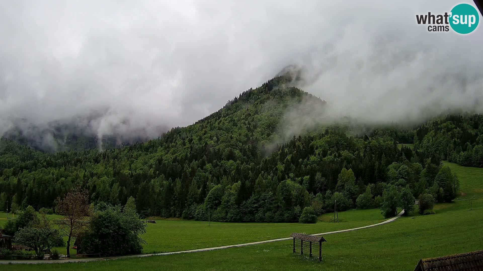 Gozd Martuljek – Špik Mountain Group