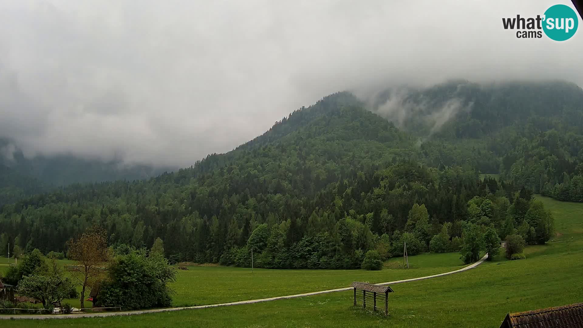 Gozd Martuljek – Špik Mountain Group